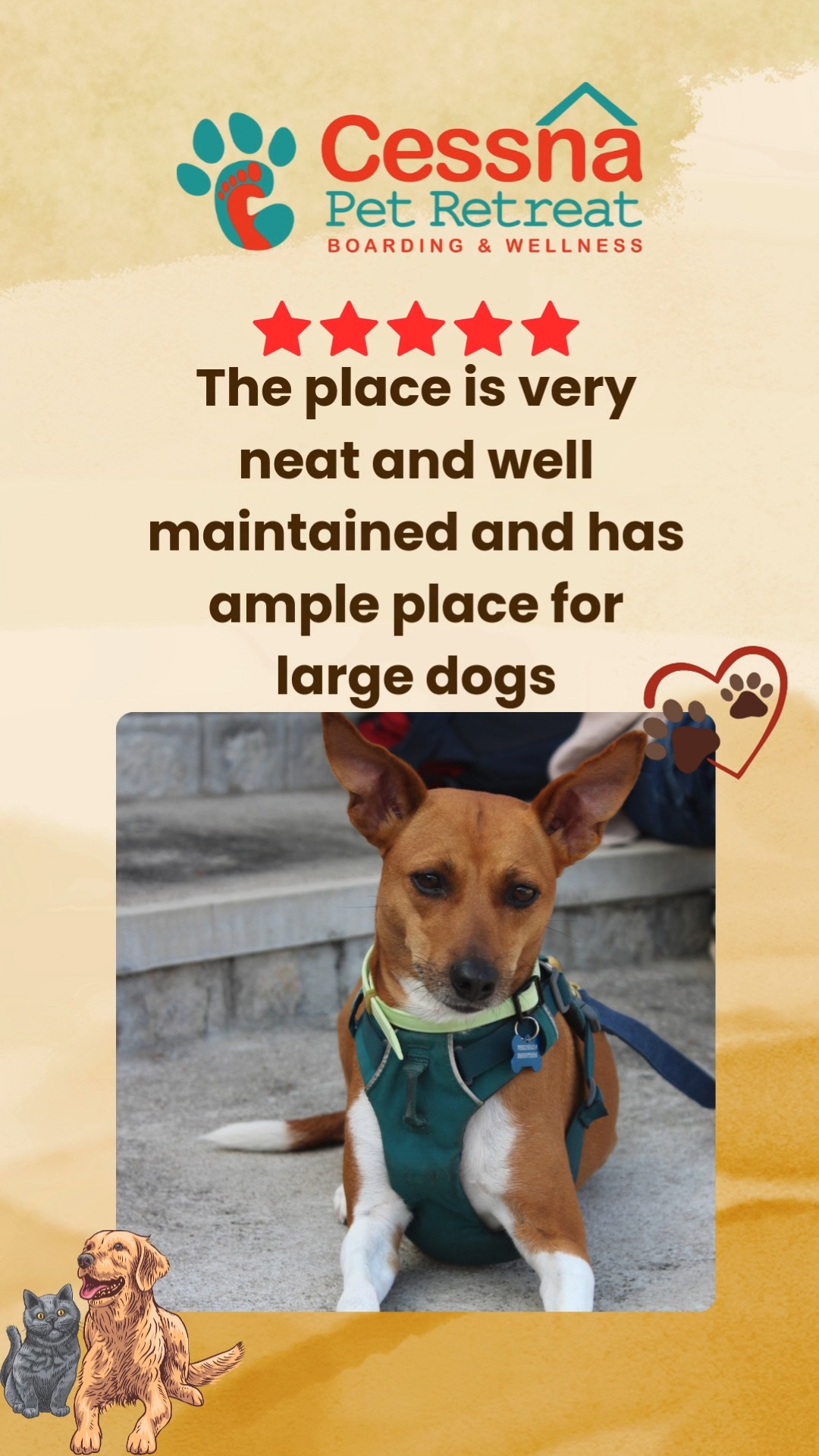 Don’t just take our word for it — our guests (and their humans) have a lot to say about Cessna Pet Retreat!
From the care they receive to the space they enjoy, our reviews speak for themselves. See why pets love their stay.
Visit www.cessnapetretreat.com or call +91 7619 634627 to book your pet’s spot.
#cessnalifelineveterinaryhospital #cessnalifeline #pawesomereviews #petboardingbangalore #dogsofblr #catsofblr #retreatlove #happyboarders