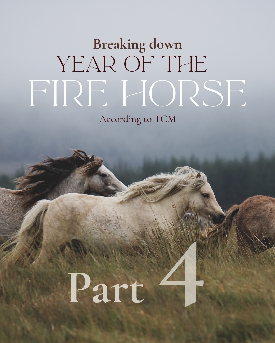 Part 4 of ”year of the fire horse” is here🤍
And in this episode the focus is on ”FOODS”
Stay tuned for episode 5 where the focus will be on”business ” 🤍
•
•
•
#yearofthehorse #tcm #food #health #örtriket