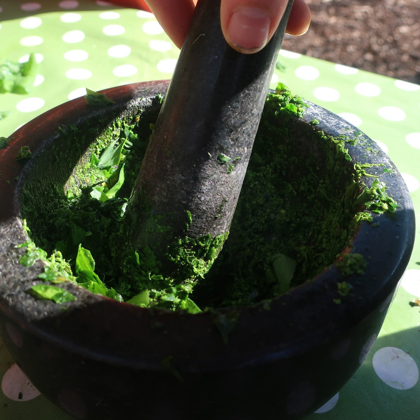 Wild garlic = Pesto time!
Packed full of vitamins & minerals & super good for our belly buddies & microbiome this is such a great way to get loads of green goodness inside our bodies and help wake us up from our winter slumber! Just add olive oil, salt, nuts & cheese.
Garlleg gwyllt = Amser pesto!
Yn llawn fitaminau a mwynau ac yn hynod o dda i'n ffrindiau bol a'n microbiom, mae hon yn ffordd wych o gael llwyth o ddaioni gwyrdd yn ein cyrff a'n helpu i ddeffro o'n cwsg gaeaf! Ychwanegwch olew olewydd, halen, cnau a chaws.