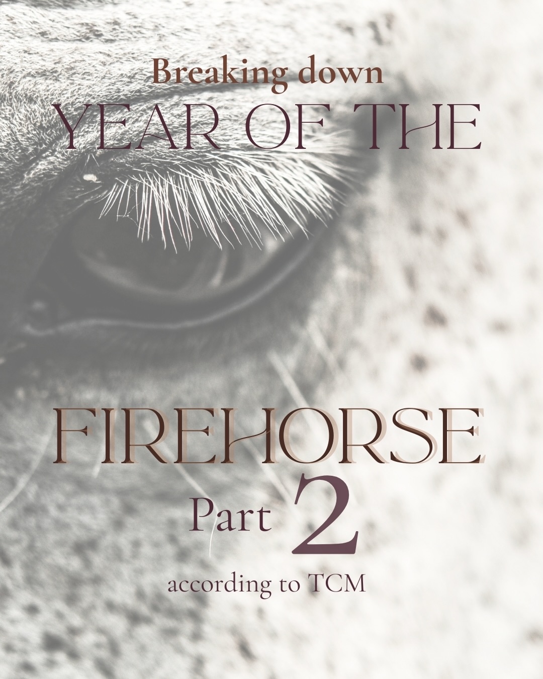 Letâs dive deeper and continue breaking down the âYear of the fire horseâ in part two of our mini series, moving focus to âFireâ within the year of the horse according to TCMđ„
âą
âą
âą
#yearofthefirehorse #yearofthehorse #tcm #örtriket #tcmwisdom