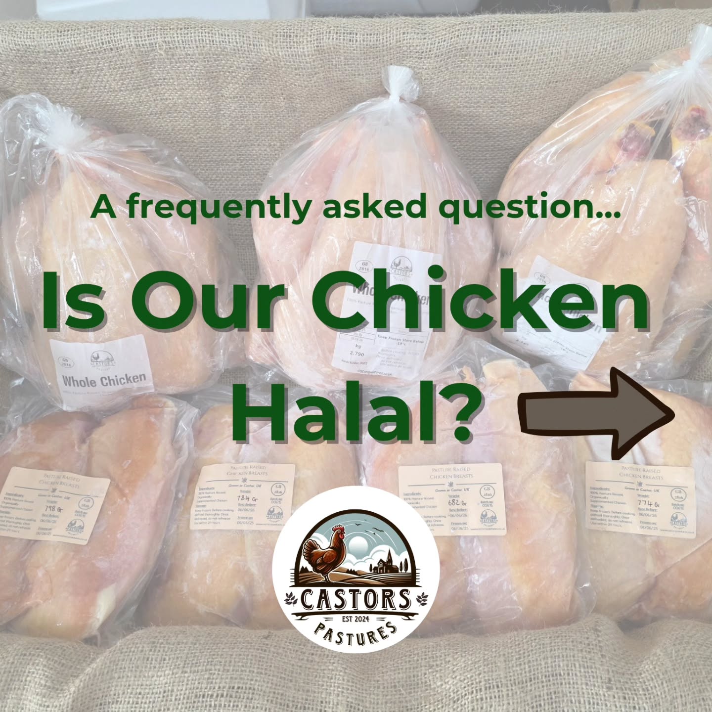 One of our most asked questions latelyโฆ is our pasture raised chicken halal? ๐
The answer is no - our chicken is not halal.
Our birds are processed in a facility that follows high-welfare, nonโreligious slaughter methods. This approach aligns with how we farm: slow-grown, pasture-raised, and handled with as little stress as possible from start to finish.
We respect everyoneโs dietary choices, and we hope this helps you choose what feels right for you ๐
#pasturedpoultry #SupportLocalFarms #pastureraisedpoultry #pastureraisedchicken #OrganicFarming
