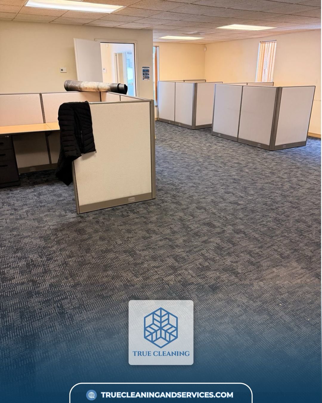 TRUE CLEANING brings professionalism to every cleaning project. Our commercial services are designed to keep your business environment consistently organized, helping you maintain a strong and positive impression.
📞 Contact Us:
(774) 502-8115 – Ernani Assis
(774) 275-1676 – Dean Gicas
(774) 615-5054 – Leandro Campos
📧 true-cleaning@outlook.com
🌐 Website:www.truecleaningandservices.com
#TrueCleaning #ProfessionalCleaning #ShineWithUs
#CommercialCleaning
#OfficeCleaning
ProfessionalCleaning
CleaningExperts
TrueCleaning
CleanWorkspace
BusinessCleaning
SpotlessResults