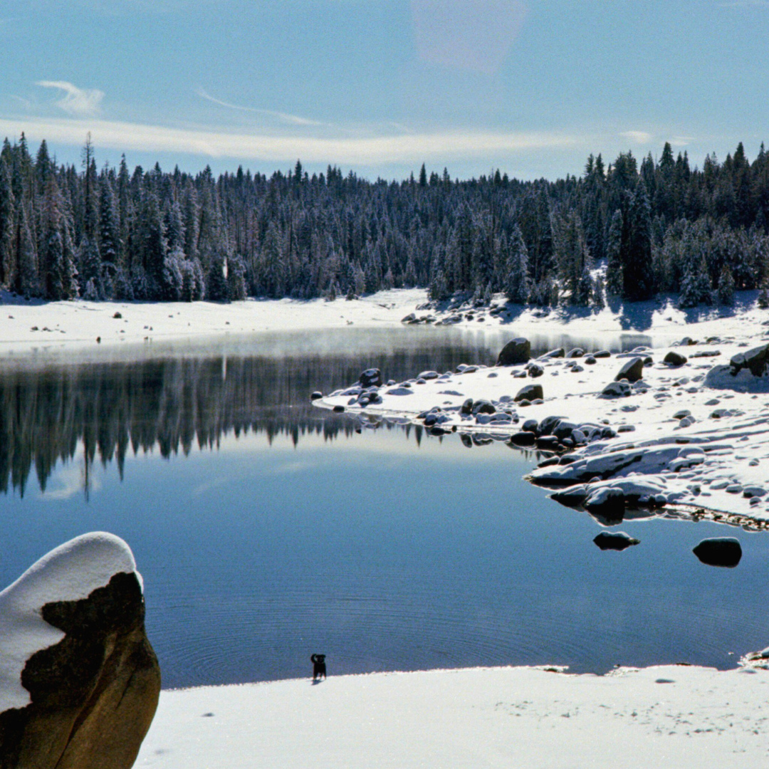 This weekend is the perfect chance to soak up Shaver Lake’s fresh snowpack before it starts melting away! ❄️☀️
Bring the sleds, strap on the skis, or hit the trails with snowshoes—there’s still plenty of winter magic left to enjoy.🏔️
I have a few cabins still available for the weekend! 10% when you use "STAYWITHUS" at www.thecabinhost.com.
#ShaverLake #TheCabinHost #SnowWeekend #SleddingFun #SkiDays #Snowshoeing #WinterGetaway #CabinLife #MountainMemories #BookDirect