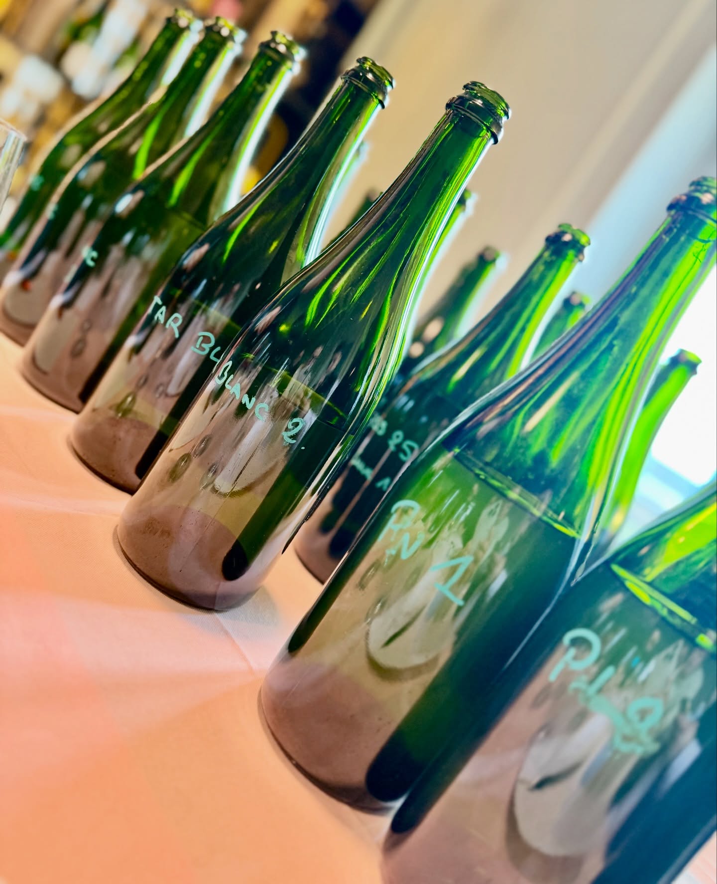 🍇 Dégustation des vins clairs – Vendange 2025
À la cave, l’instant est toujours particulier lorsque l’on découvre les vins clairs. Retour en image sur la dégustation des vins issus de la vendange 2025, aux côtés des vins de réserve, une étape essentielle qui ouvre la voie aux futurs assemblages.
Chaque verre révèle l’expression du terroir de Mailly-Champagne : précision, fraîcheur et caractère. Les vins de l’année dialoguent avec la mémoire des millésimes conservés en réserve, permettant d’imaginer l’équilibre et la signature des prochaines cuvées.
Patience, écoute et passion guident ce travail minutieux qui façonne l’identité des champagnes à venir.
🇬🇧🍇 Tasting of Base Wines – 2025 Harvest
In the cellar, it is always a special moment when we discover the base wines. A look back in images at the tasting of the wines from the 2025 harvest, alongside our reserve wines—an essential step that paves the way for future blends.
Each glass reveals the expression of the Mailly-Champagne terroir: precision, freshness, and character. The wines of the year engage in a dialogue with the memory of past vintages kept in reserve, helping to imagine the balance and signature of the upcoming cuvées.
Patience, attentive tasting, and passion guide this meticulous work that shapes the identity of the champagnes to come.
#champagne #VinsClairs #Assemblage #maillychampagneGrandCru #ChampagneLucienRoguet SavoirFaire