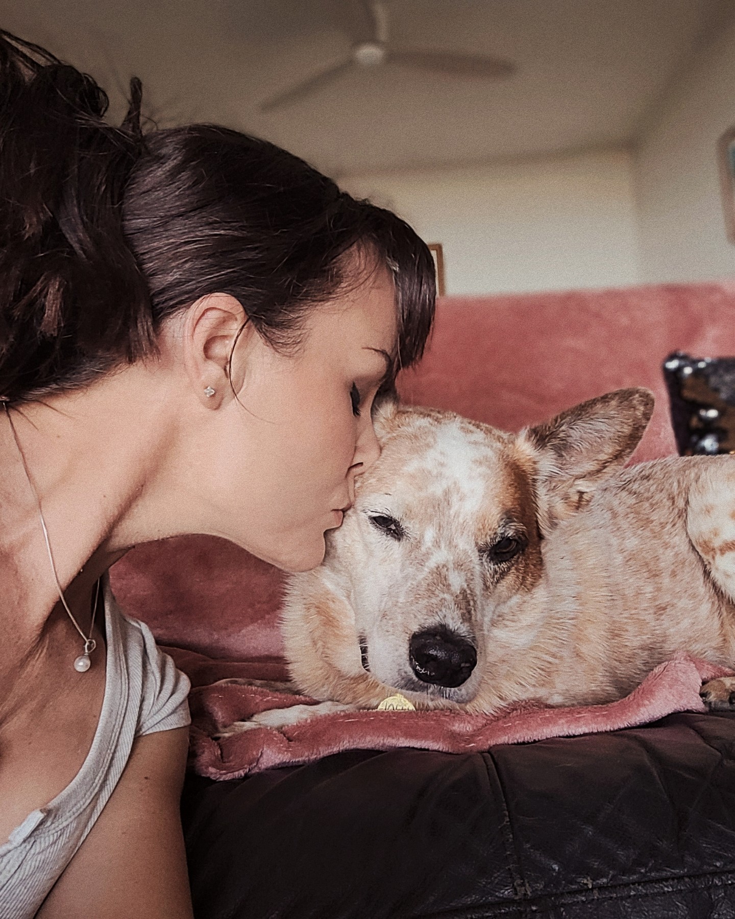 The Hidden Health Benefits of Having a Good Boi
🐶 Will literally save your life if someone tries to hurt you - years ago someone came for me in the night and police conceded I might not be here without him
🐶 Gets you out of bed early every day to get that good sunshine and keep your routine
🐶 Makes sure you go for a walk to move your body and observe nature and connect with others
🐶 Snuggles are medicine - boosts mood, lowers blood pressure and inflammation, supports tissue repair, reduces pain perception, lowers cortisol and promotes feeling of calm and safety. Nervous system regulation should be the top priority for most people in this modern world, health wise.
🐶 Daily laughs and pure joy from the cuteness and silliness and beautifulness and wonderfulness. That melodic baby talk that we all do increases oxytocin in both you and your dog and feeds into a connection loop. When mirror neurons sync, you become in tune with each other's moods, energetic shifts and needs.
🐶 Staying present - seeing Jolly mesmerised by a butterfly or blissing out in the sunshine helps me notice these special moments too.
🐶 Purpose and meaning - for people lacking direction or plagued by loneliness, a dog can be completely transformative.
Sometimes the most powerful healing isn't about changing your diet or taking herbs.
