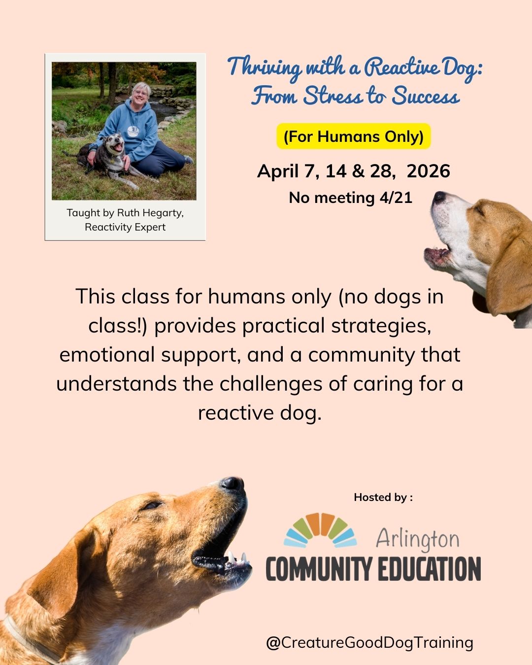 I know how lonely it can feel to live with a reactive dog.
The canceled walks.
The tight grip on the leash.
The constant scanning for triggers.
The wondering if you’re the only one dealing with this.
You’re not.
✨ Thriving with a Reactive Dog: From Stress to Success is a humans-only class designed to give you the tools, clarity, and support you deserve.
No dogs in class.
No judgment.
No quick-fix gimmicks.
Just practical strategies you can actually use… emotional support from someone who truly gets it… and a room full of people who understand the unique challenges of loving a reactive dog.
📅 April 7, 14 & 28 (no class 4/21)
📍 Hosted by Arlington Community Education
👩🏫 Taught by Ruth Hegarty, Reactivity Specialist
If you’ve been wishing for guidance, structure, and a community that sees you — this is it.
Come learn how to change your walks, rebuild your confidence, and create real progress in a way that feels compassionate and doable.
Spots are limited, and this one tends to fill.
DM me for the registration link 💙