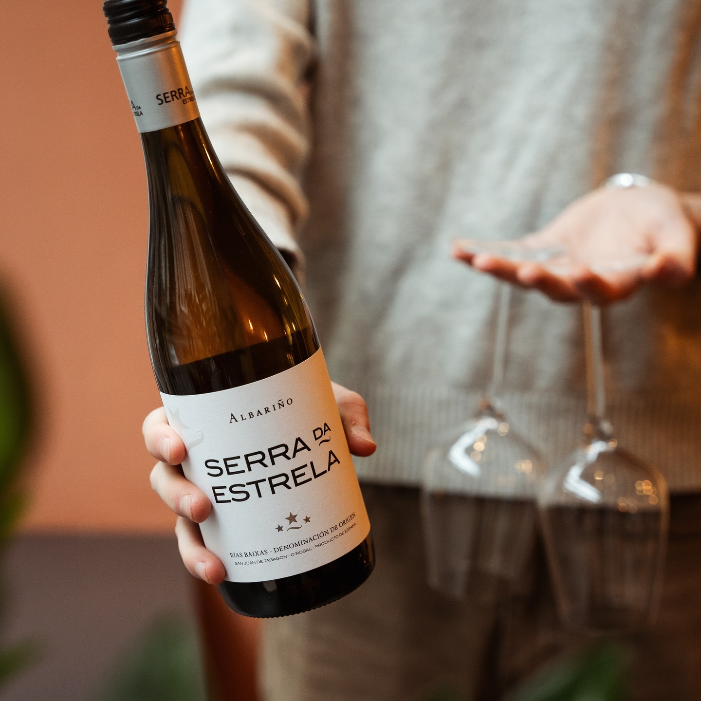 Wat een heerlijk begin van de lente hè? 🌻
De Serra de Estrella Albariño is weer zo’n wijn waar we blij van worden. Fris en strogeel van kleur, met tonen van citrus, abrikoos en een vleugje bloesem. Licht, elegant en lekker doordrinkbaar.
Niet voor niets één van de favorieten op onze wijnkaart. Perfect bij dit eerste vleugje lente!