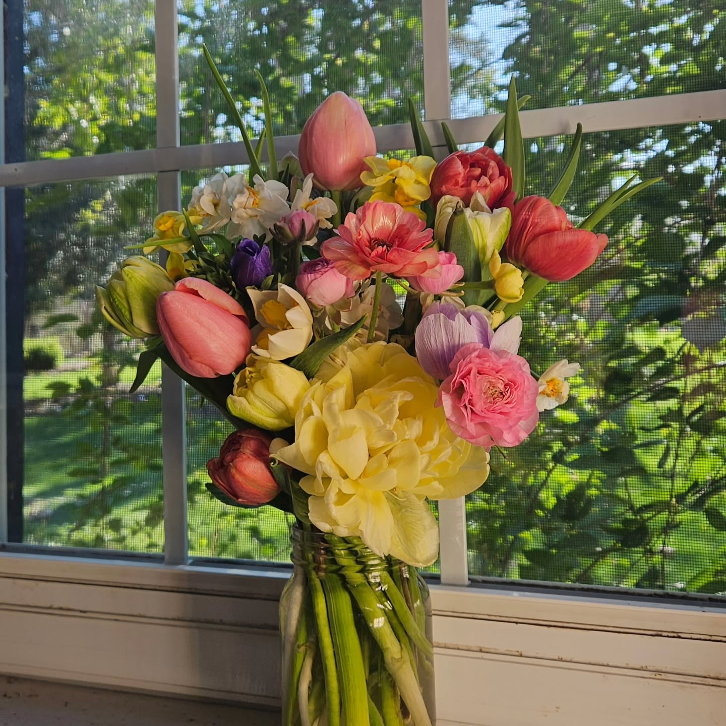 No filter, no AI. Just flowers I grew, a dirty garage windowsill, and some really pretty light.
Still taking pre-orders for Easter flowers until 4/2!
#betterthanstorebought #localflowers #GardenGeek #flowersofinstagram #homegrown