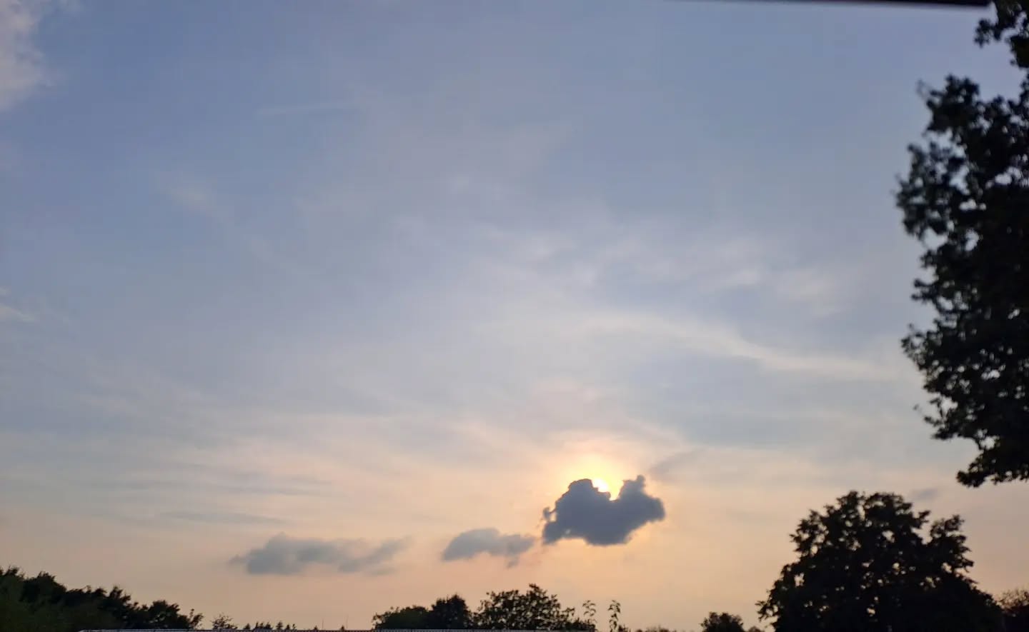 🤍
The Wound
is the Place
where the Light
enters YOU.
-Rumi-