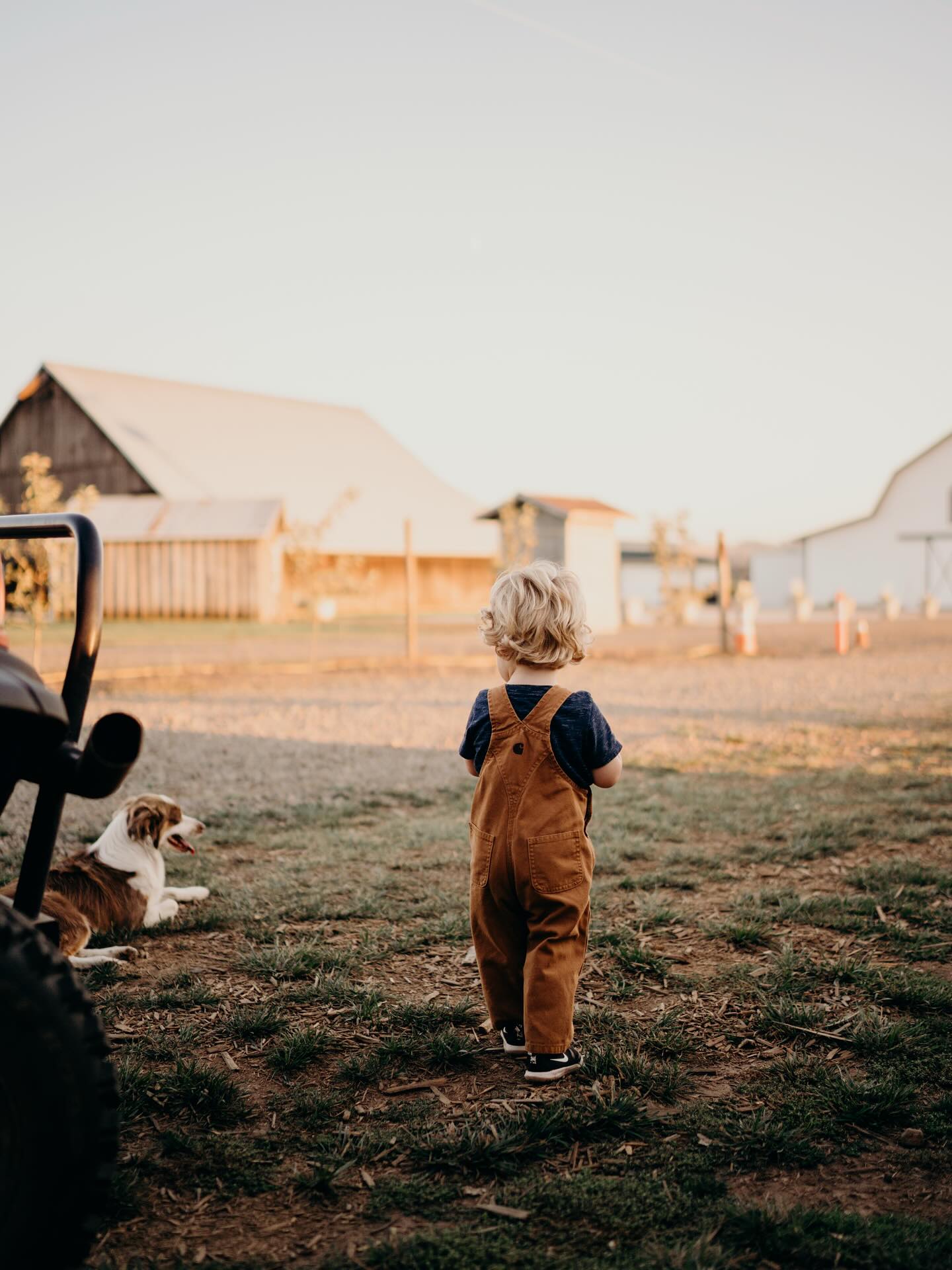 From these small shoulders will come strong farmers. Blessed to watch it grow.
📷 @rebekahjule
#hoffmanfarmsstore #familyfarming #oregon