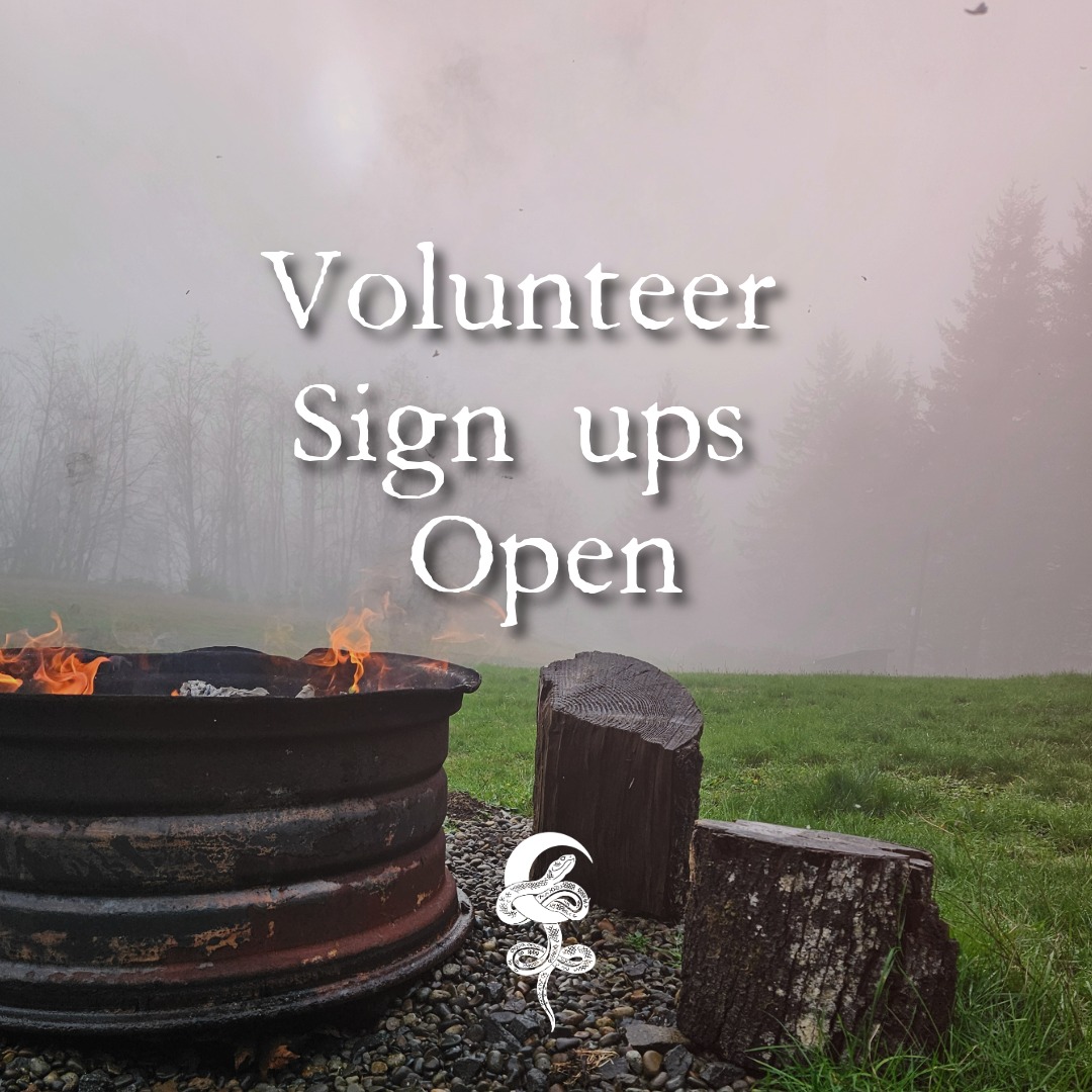 The Year of the Fire Horse is here, and it demands action, not just observation. This season, the Sisters of Lilith are shifting our energy. Instead of our traditional Ostara gathering, we are answering the call of the land.
We are trading tea for shovels and ceremonies for sweat.
On March 21st, we return to the garden to plant a Bay Laurel for Medusa’s protection and tend the Pomegranate of Persephone. We aren’t just "visiting" the earth this year; we are building a sanctuary for The Morrigan’s arrival this summer.
The gates are open for our Volunteer Working Days. If you’re ready to put your sovereignty into the soil and help us prepare the space, we want you there.
Link in bio to join a Working Circle
#SistersofLilith #TheMorrigan #FireHorseYear #SacredGardening #Ostara #Medusa #Sovereignty #WorkingTheLand