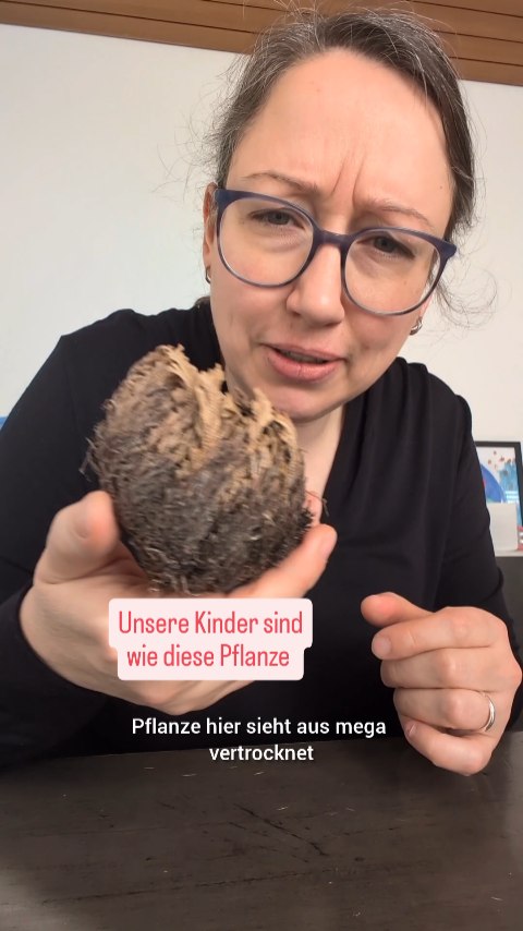 Was hat die Rose von Jericho mit unseren Kindern zu tun? Ich sag's dir jetzt 👇🏻
Der Individualpsychologe Rudolf Dreikurs sagte einmal:
„Kinder brauchen Ermutigung wie Pflanzen das Wasser.“
Was für die Rose von Jericho Wasser ist, ist für Kinder (und uns) die Ermutigung.
Es gibt drei Ebenen der Ermutigung:
✨ Ermutigung durch Lob und Anerkennung
✨ Ermutigung von Bemühungen und Fortschritten
✨ Existenzielle Ermutigung, die sagt "Du bist wertvoll. Einfach weil du bist."
Hier bei @bettermut.beratung gibt's ganz viel Ermutigung und Impulse für Familien.
#ermutigung #selbstwert #starkekinder #elternimpulse #bettermut