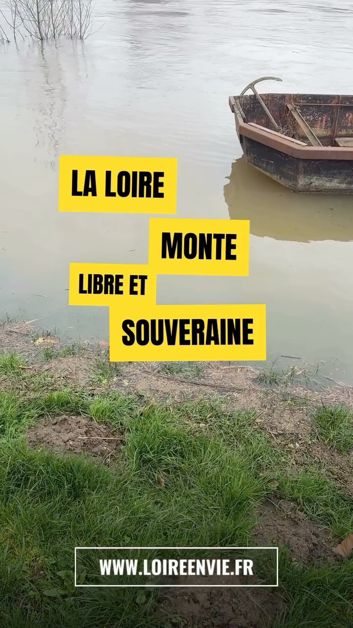 La Loire monte, libre et souveraine
Après plusieurs jours de pluie, le fleuve retrouve naturellement de l’ampleur. La crue fait partie de son cycle de vie. Ce phénomène n’est pas exceptionnel : il témoigne simplement d’un fleuve vivant. L’eau s’étend dans son lit majeur, nourrit les sols, alimente les nappes et participe à l’équilibre des écosystèmes ligériens.
La Loire est l’un des derniers grands fleuves sauvages d’Europe. Elle avance sans canalisation massive, avec ses variations, ses humeurs et sa puissance naturelle.
Et toujours, elle nous rappelle que la nature décide.
#loire #crue #loireenvie