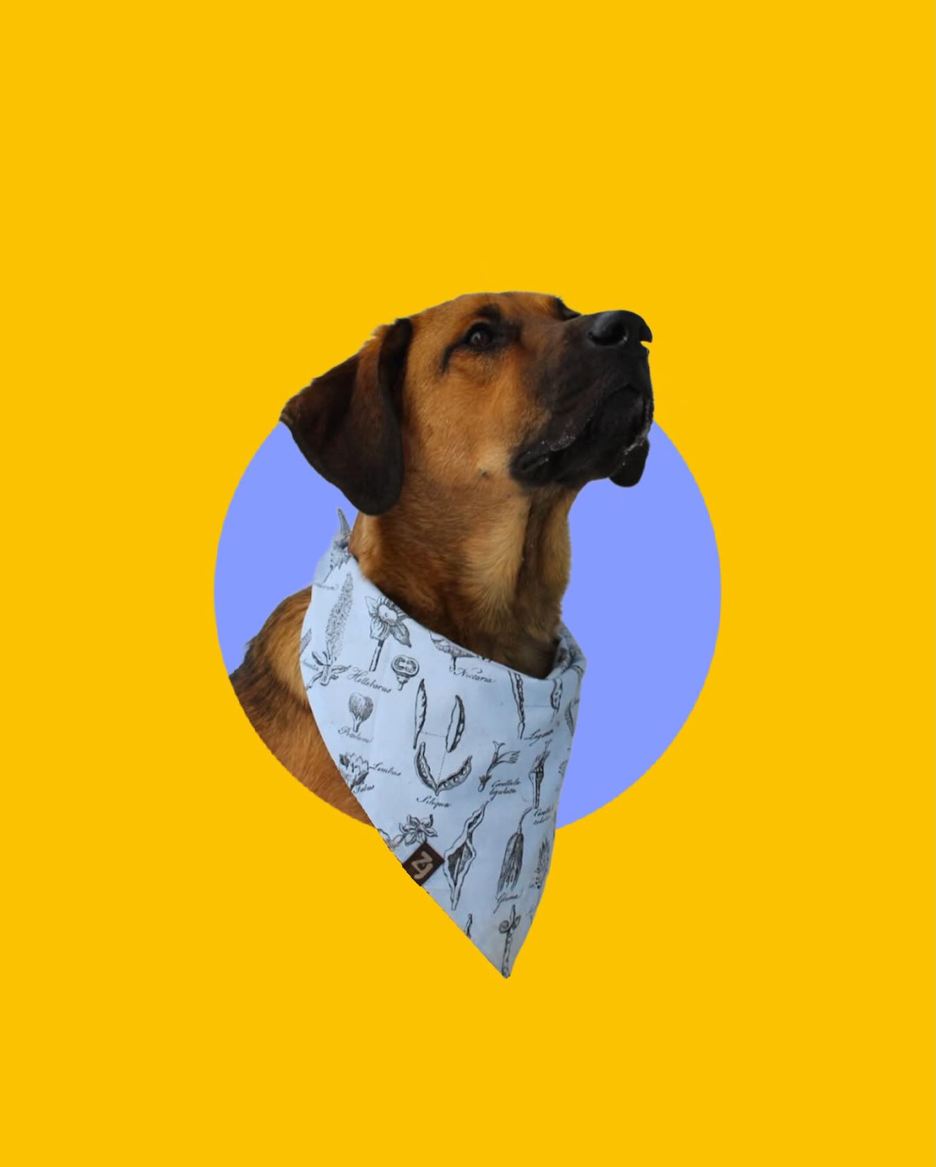 🌸 Spring is Loading ... 🌸
#SpringTime #SpringFlowers #SpringHasSprung #SpringCleaning