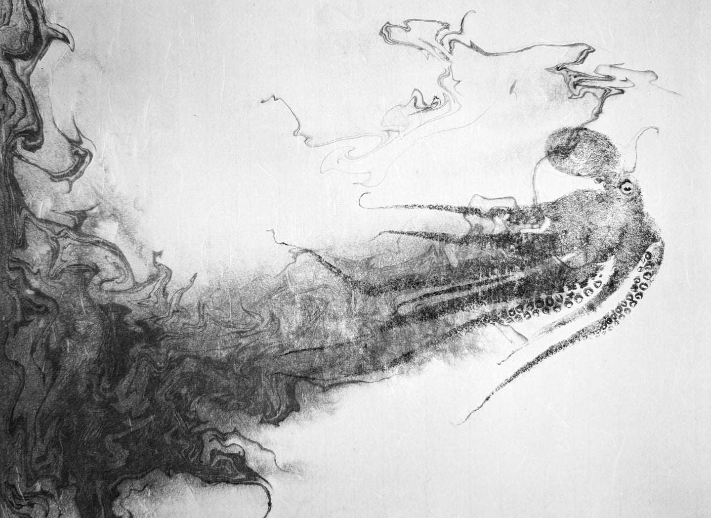 Octopus + Suminagashi
Ink trail
20x16 matted
Sold