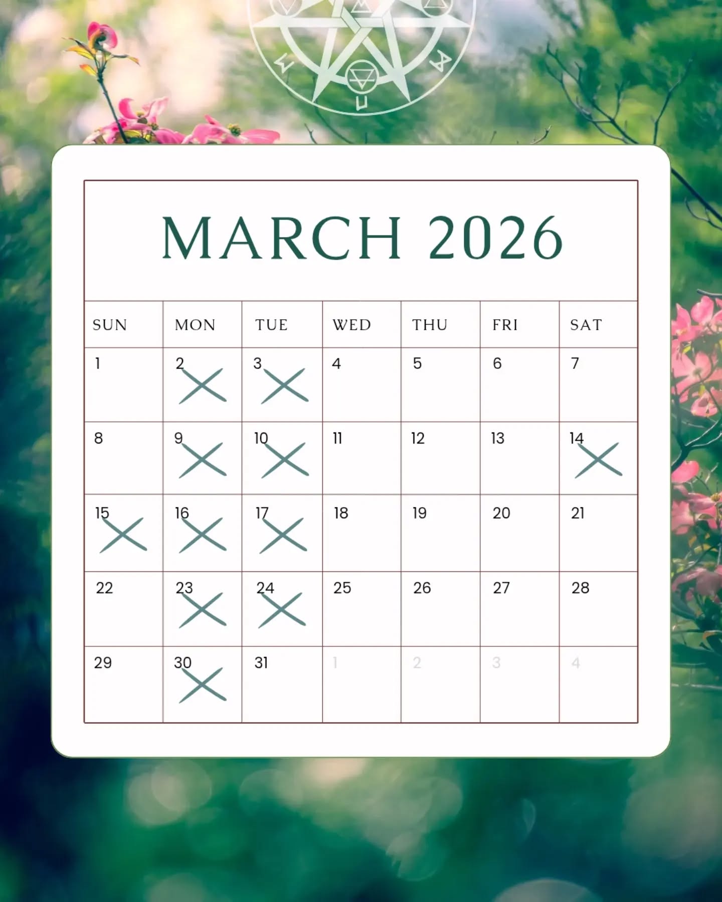 March & April: We will be taking some extra time off for rest and recuperation. Our new business hours will also be coming into effect from the 31st March.
Monday: Closed
Tuesday - Saturday: 11am - 6pm
Sunday: Closed
#MystiquePiercingBoutique #OpeningHours #ShopSmall #BodyPiercing #SafePiercing
