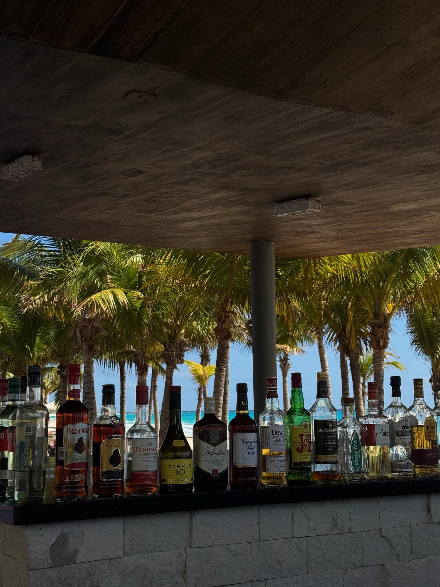 @_norahisabella_ 15 more minutes of turtle time ?