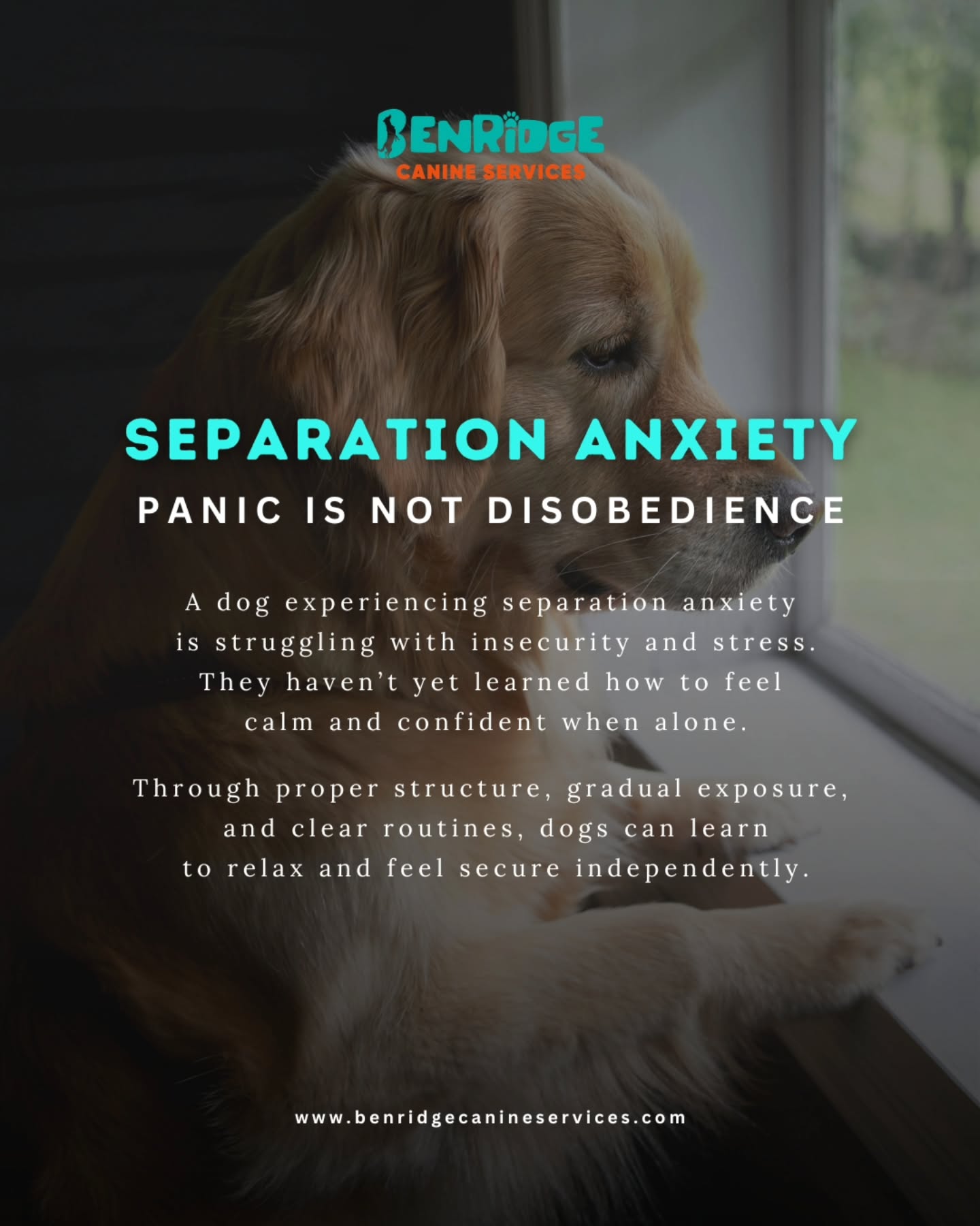 Understanding Separation Anxiety 🐾
Separation anxiety is often misunderstood as bad behavior, but in reality it’s a dog experiencing stress and insecurity when left alone.
Dogs showing signs of separation anxiety aren’t being disobedient they simply haven’t yet learned how to feel calm and confident independently.
With the right structure, gradual exposure, and consistent routines, dogs can learn to relax and build confidence when they’re on their own.
Helping a dog overcome separation anxiety takes patience, guidance, and the right training approach.
📩 DM us if your dog struggles with separation anxiety. We’re here to help.
📍 24 Pillar Rock Crescent, Markham, ON L6C 3H4, Canada
📞 (647) 425-4838 / (647) 807-8761
🌐 www.benridgecanineservices.com
#DogTraining #BenridgeCanineServices #DogBehavior #SeparationAnxiety #DogTrainingMarkham
