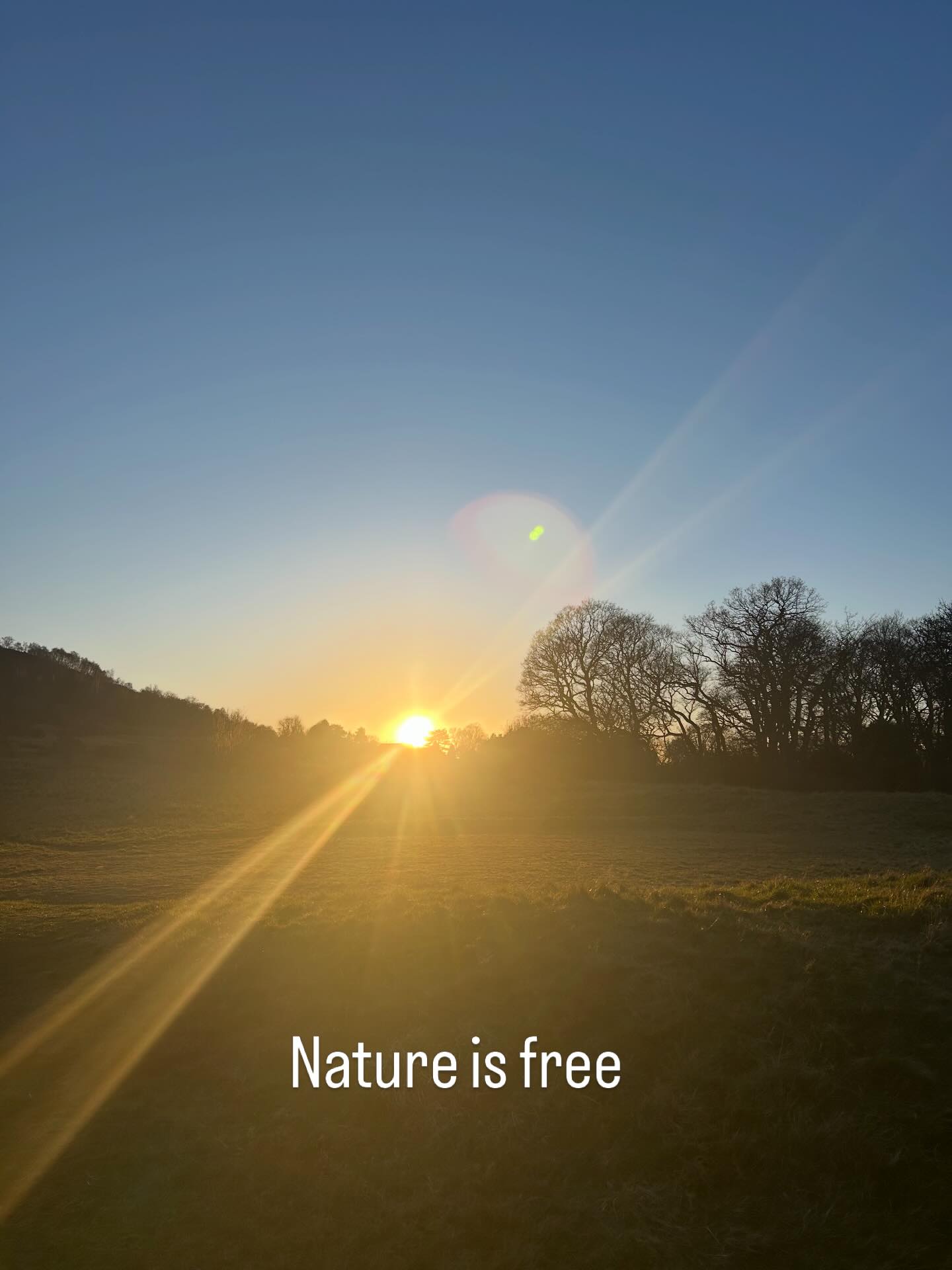 Nature is free.
No subscription needed.
No passcode.
No TFA.
No downloading.
It’s everywhere when you start to open your eyes and ears.
Parks, trees, flowers, plants, birds.
Cities, towns and villages.
Even a simple houseplant eases your nervous system.
#forestbathing #forestbathing🌲🌲🌲 #parks #plants #flowerstagram