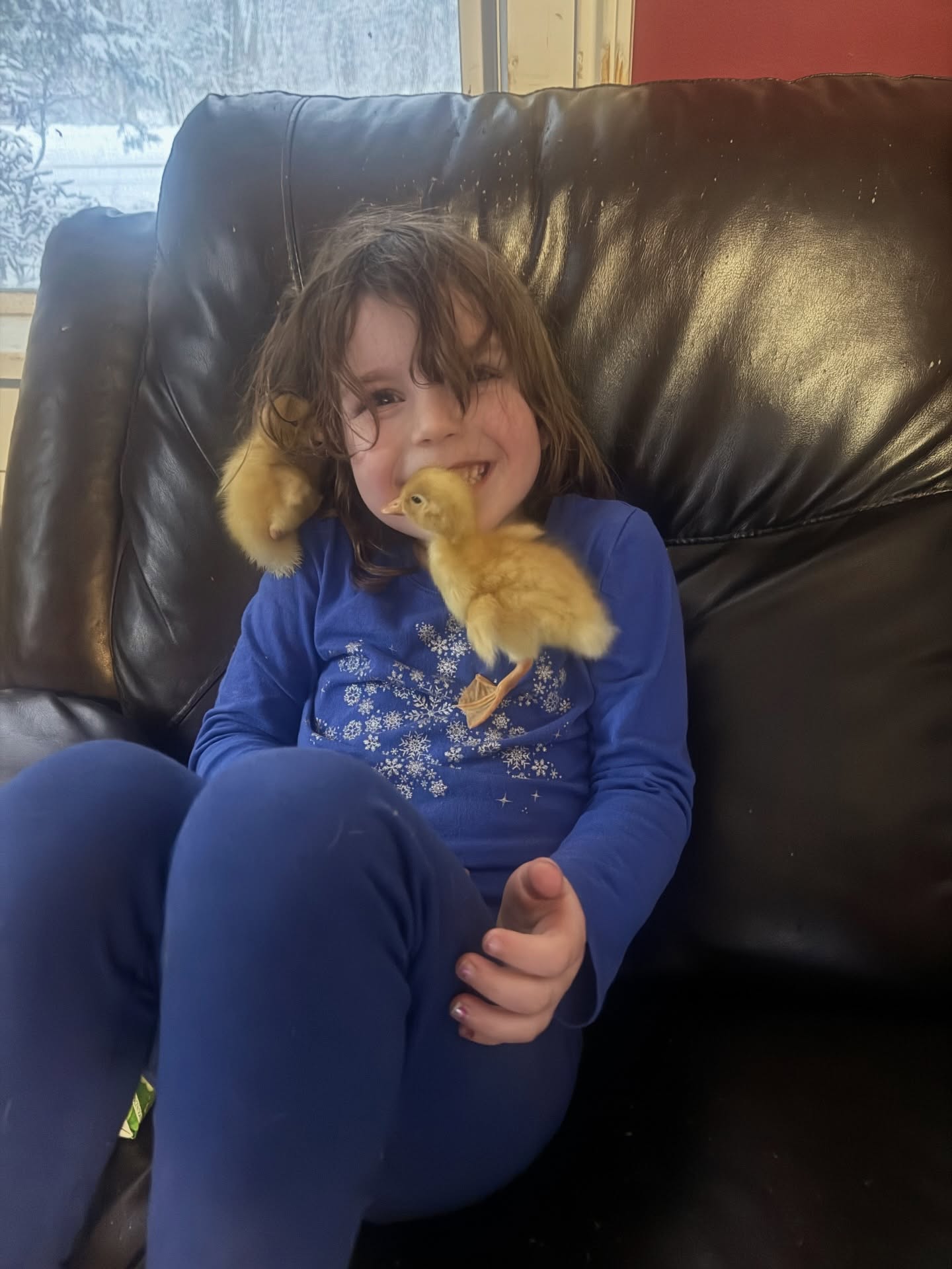 It’s baby season at @holly_and_vine lambs, chicks and ducklings are filling the barns and brooder houses. We are ready for the warmer weather and greener pastures.
#nyagriculture #smallfarm #womeninag