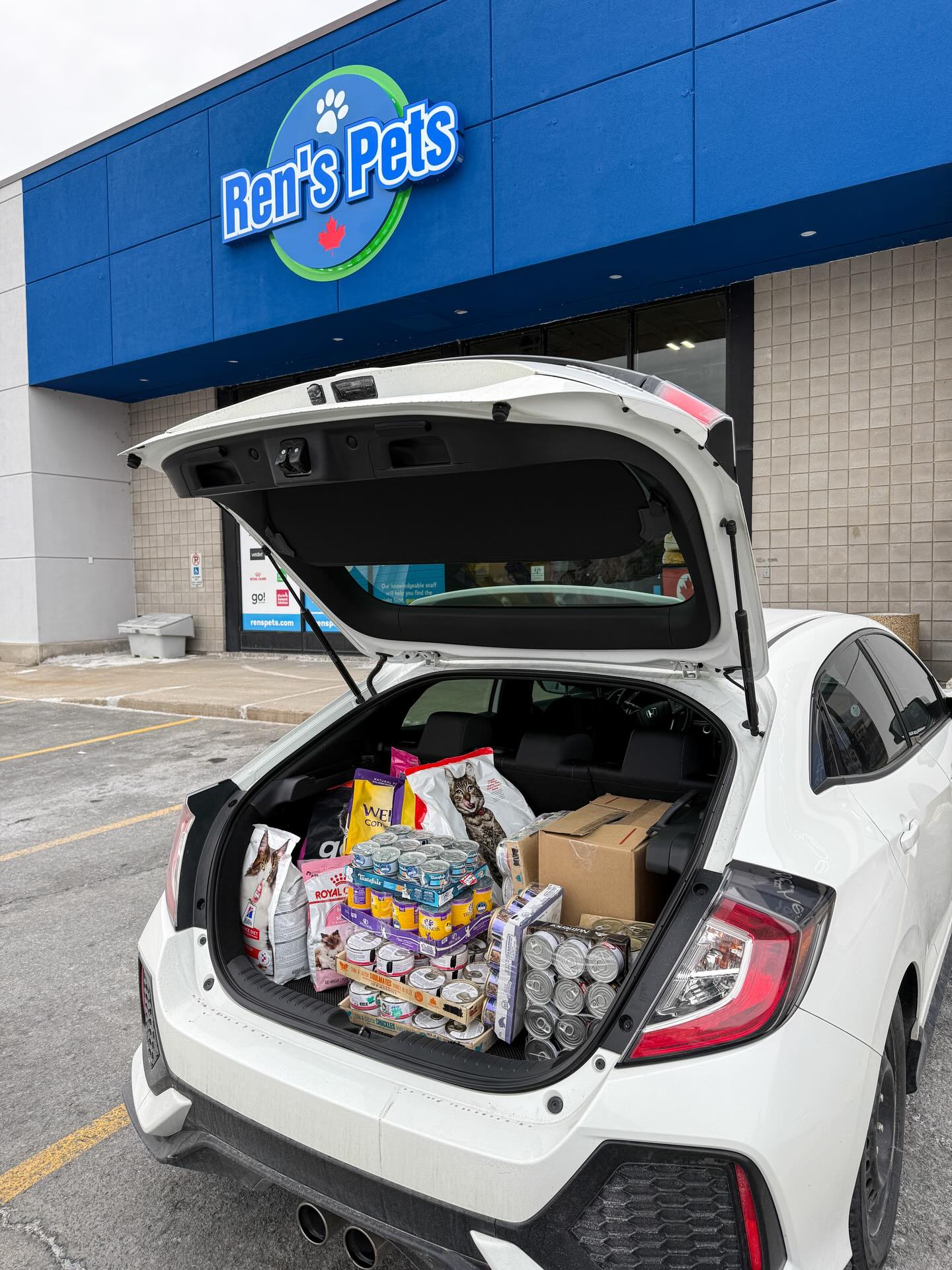 Thank you to Ren’s Pets Cornwall for the donations to help support our Feed a Feral program!
Ruby was very excited to check out everything we received! 💙😻