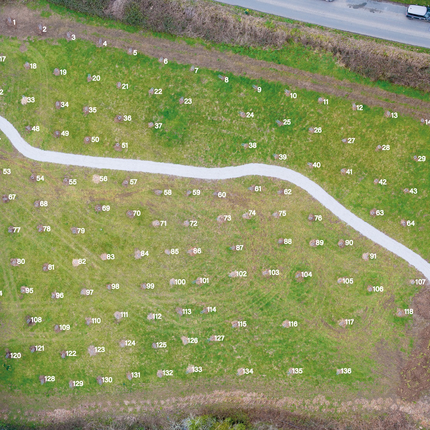 It was an absolute pleasure to recently capture drone footage at Mylor Bridge for the Mylor Community Orchard šæš
Photographing the newly planted orchard from above at King George V Playing Field really showcased what a fantastic community space this is becoming. After the aerial shoot, I annotated every single tree - all 136 of them - and supplied a print-ready PDF so each tree is clearly identified for visitors and volunteers. š³āØ
This valued green space already offers open recreational areas, a childrenās play zone, sports courts, and an accessible walkway along Mylor Creek - and with funding support, itās now expanding to include a fully accessible pathway connecting the courts to the new orchard. The project also features eco-friendly gabion retaining walls, a new bridge with level access, and enhanced safety measures to ensure everyone can enjoy it.
The orchard itself will be home to a variety of fruit and native trees, creating opportunities for volunteering, sustainability projects, and outdoor learning for all ages. A brilliant example of community, accessibility, and environmental stewardship coming together. š
#MylorBridge #CommunityOrchard #Cornwall #DronePhotography #AerialPhotography #CommunityProject #Sustainability #GreenSpaces #OrchardLife #LevellingUp #EnvironmentalAwareness #AccessibleDesign #SupportLocal #CornishLife