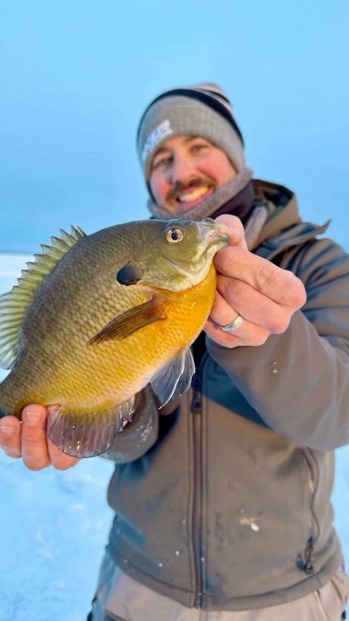 Can anyone tell us how to make this our “out of office” reply in Gmail? 🤭
#razriceaugers #icefishing #release
