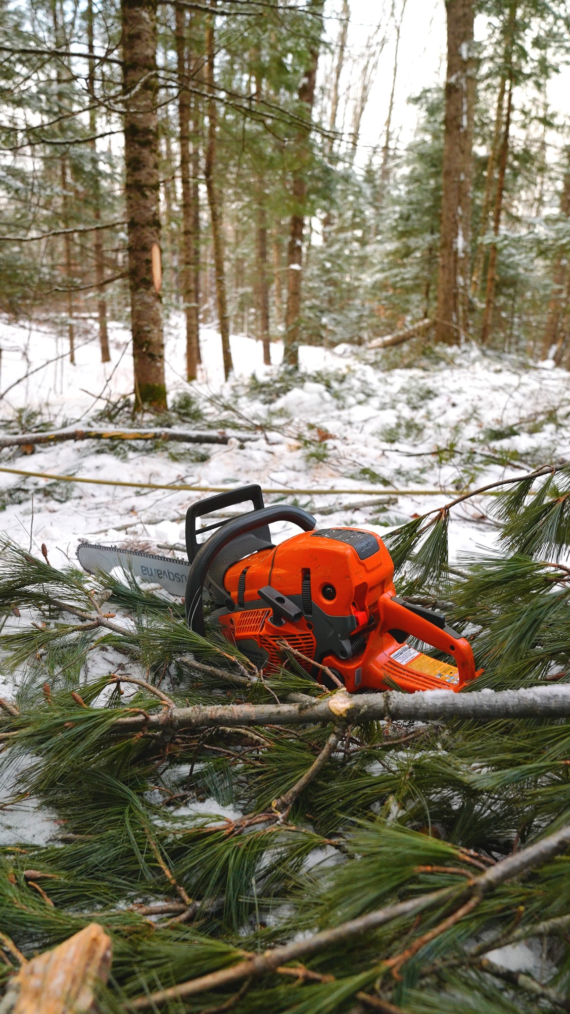 send this to your laziest coworker!
.
.
.
.
#belangertreecare #arborist #arboristsofinstagram
#skowhegan #skowheganmaine #forestry #chainsaws
#centralmaine #mainebusiness #treecare
#treecarebusiness #treeclimbers #logging