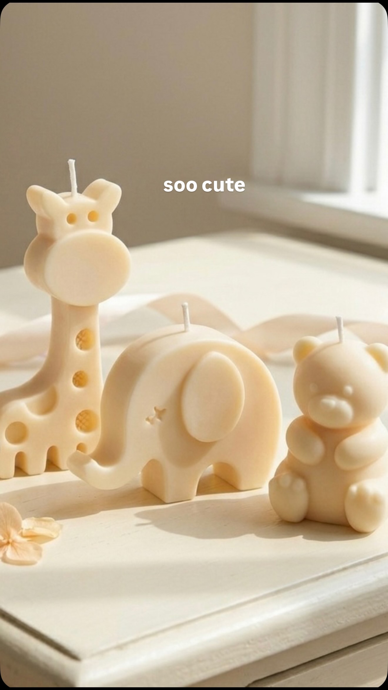 Attenzione: livello di tenerezza altissimo.
Le candele disney sono pensate per i più piccoli, ma create per far sorridere tutti. 🧸🤍🦒
Forme dolci, dettagli curati e tutta la magia delle storie più amate.
Sfoglia il catalogo online e trova quella giusta per te!
www.isolefrancesi.com
#dreamcandle #cutecandle #isolefrancesi #candeledidesign #disney