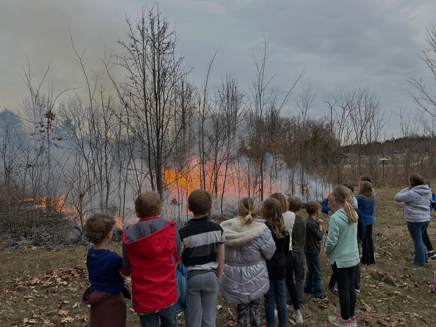 Campbellton Elementary experienced FIRE yesterday 🔥
Students in Pathways to the Outdoors learned the science behind prescribed (controlled) burns and how fire supports healthy ecosystems and biodiversity. They explored the tools our team uses and then watched a live prescribed burn led by Earth’s Classroom’s team…right there on their own playground! The students can’t wait to see their native plant plot flourish this spring!
Always such a fun group to work with!