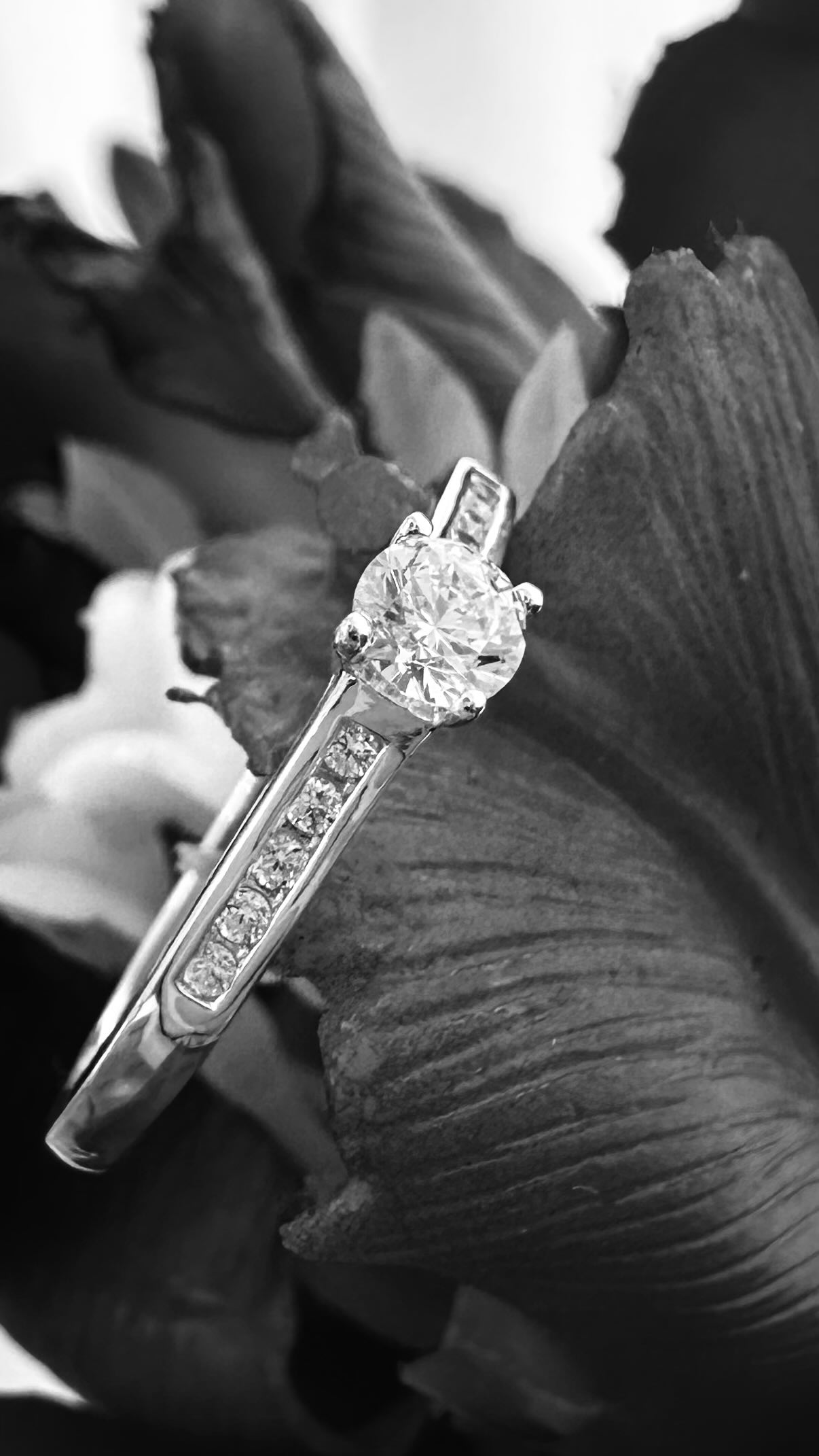 3 RINGE 💍 3 LOOKS 💍 3 MÖGLICHKEITEN 💍
Du hast einen wunderschönen Verlobungsring und suchst nach dem passenden Ansteckring?
Dann solltest du dieses Video bis zum Schluss anschauen und wenn’s dir gefällt vereinbare einen kostenlosen Beratungstermin. ✨
Entdeckt eine Vielzahl an Möglichkeiten, verschiedener Legierungen und Oberflächen und kreiert eure ganz persönlichen Ringe fürs Leben. 💍🤍
Ich freue mich auf euch 🫶
www.brautmoment.at
#hochzeit #eheringe #bride #wedding #brautmode