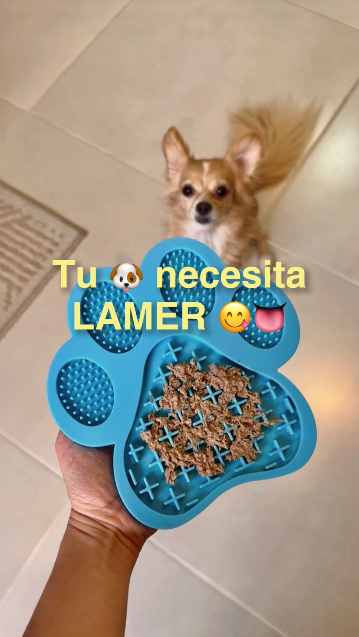 Comenta LAMER si quieres la receta 🐶😋💌
El lamido puede ayudar a tu 🐶 a regularse emocionalmente 🐾💛
IMPORTANTE: Que laman a veces, es normal. ⚠️ Pero si es algo excesivo, compulsivo o se lastima, no lo dejes pasar. No siempre es solo estrés.
Podría estar relacionado también con:
🤢 Náuseas
🤕 Dolor o malestar gastrointestinal
😔 Ansiedad crónica
🩺 Si el lamido es persistente, consulta con el veterinario y descarta causas médicas.
👅 Las alfombras de lamido o LickMats son un complemento dentro del enriquecimiento ambiental. Pero no reemplazan sus paseos, juego, ejercicio, ni descanso adecuado. Son una herramienta más para su bienestar. ✨🐕