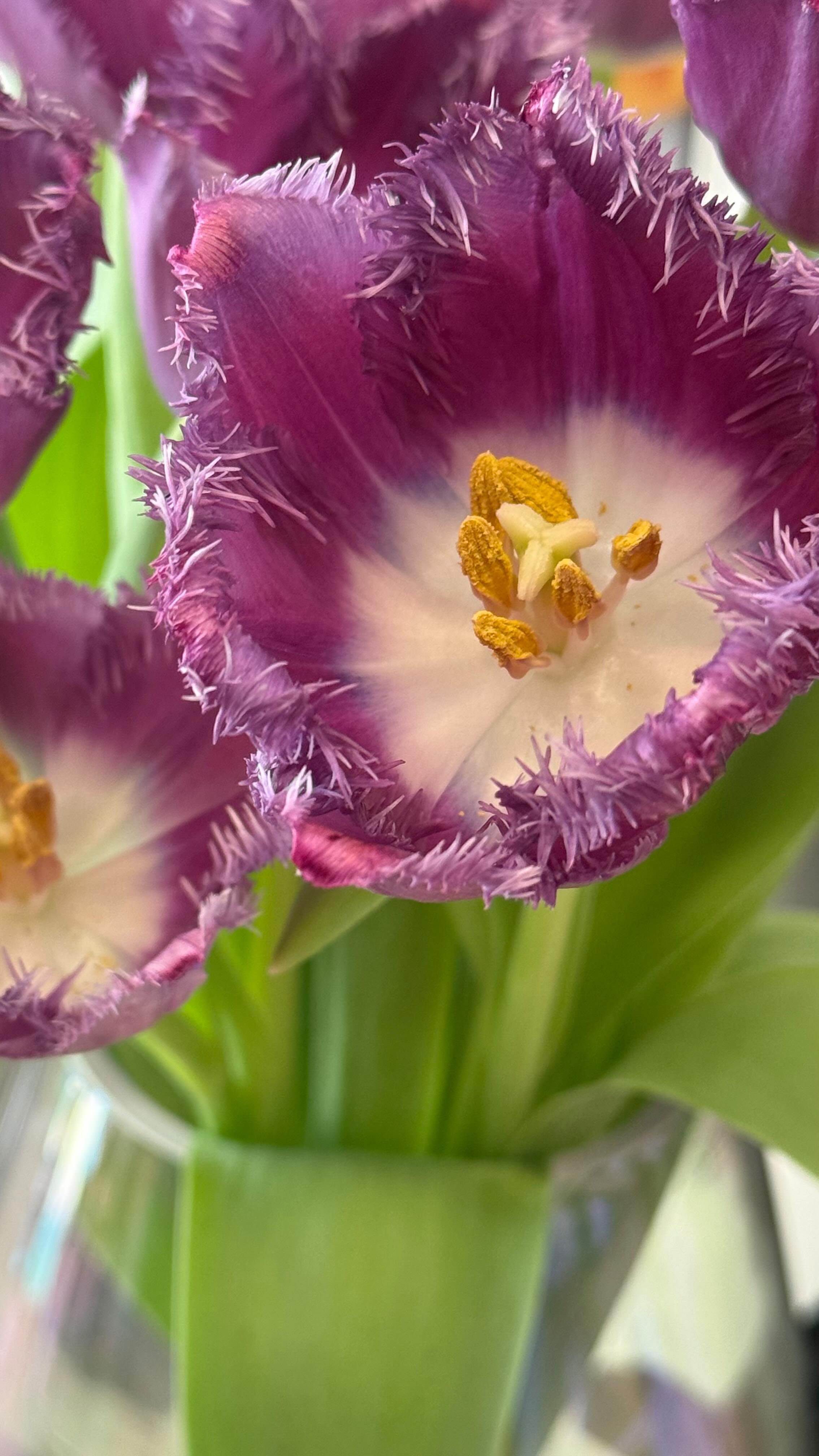 Man spürt es überall.
Menschen sind dünnhäutiger.
Beziehungen ehrlicher – oder zerbrechlicher.
Der Körper reagiert schneller.
Emotionen kommen ohne Vorwarnung.
Nein, du bist nicht „zu sensibel“.
Und nein, du übertreibst nicht.
Wir leben in einer Zeit, in der alte Strukturen nicht mehr tragen.
Was nicht echt ist, fällt.
Was nicht stimmig ist, zeigt sich.
Was nicht mehr zu deiner Seele passt, wird unruhig.
Die Intensität ist kein Fehler im System.
Sie ist ein Weckruf.
Die Frage ist nicht:
Warum ist gerade alles so anstrengend?
Die Frage ist:
Wo darfst du ehrlicher werden?
Wo hältst du noch fest?
Wo ruft dein Inneres längst nach einer Neujustierung?
Wenn du das Gefühl hast, dein System braucht Stabilität,
deine Energie braucht Klarheit
oder du möchtest verstehen, was deine persönliche Zeitqualität gerade von dir will —
Schreib mir „INTENSIV“ in die Kommentare oder per DM.
#Zeitqualität
#Astrologie
#BewusstSein
#Nervensystem
#Selbstführung
Transformation
Energiearbeit