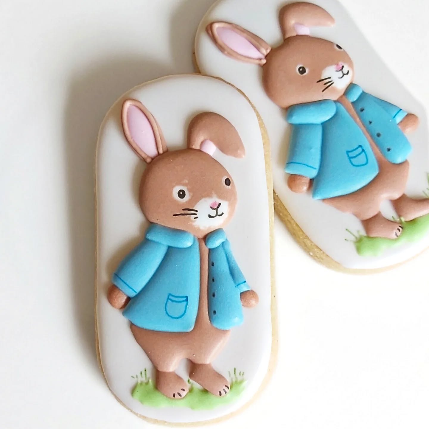 My most eclectic commission request..for a lover of all things Peter Rabbit, hummingbirds, Wedgwood, gardening, Titanic... it was such a pleasure to make, thankyou Anna. Hope they went down well.🥰
#titanic, #icedcookies #peterrabbit #beatrixpotter #icedbiscuits