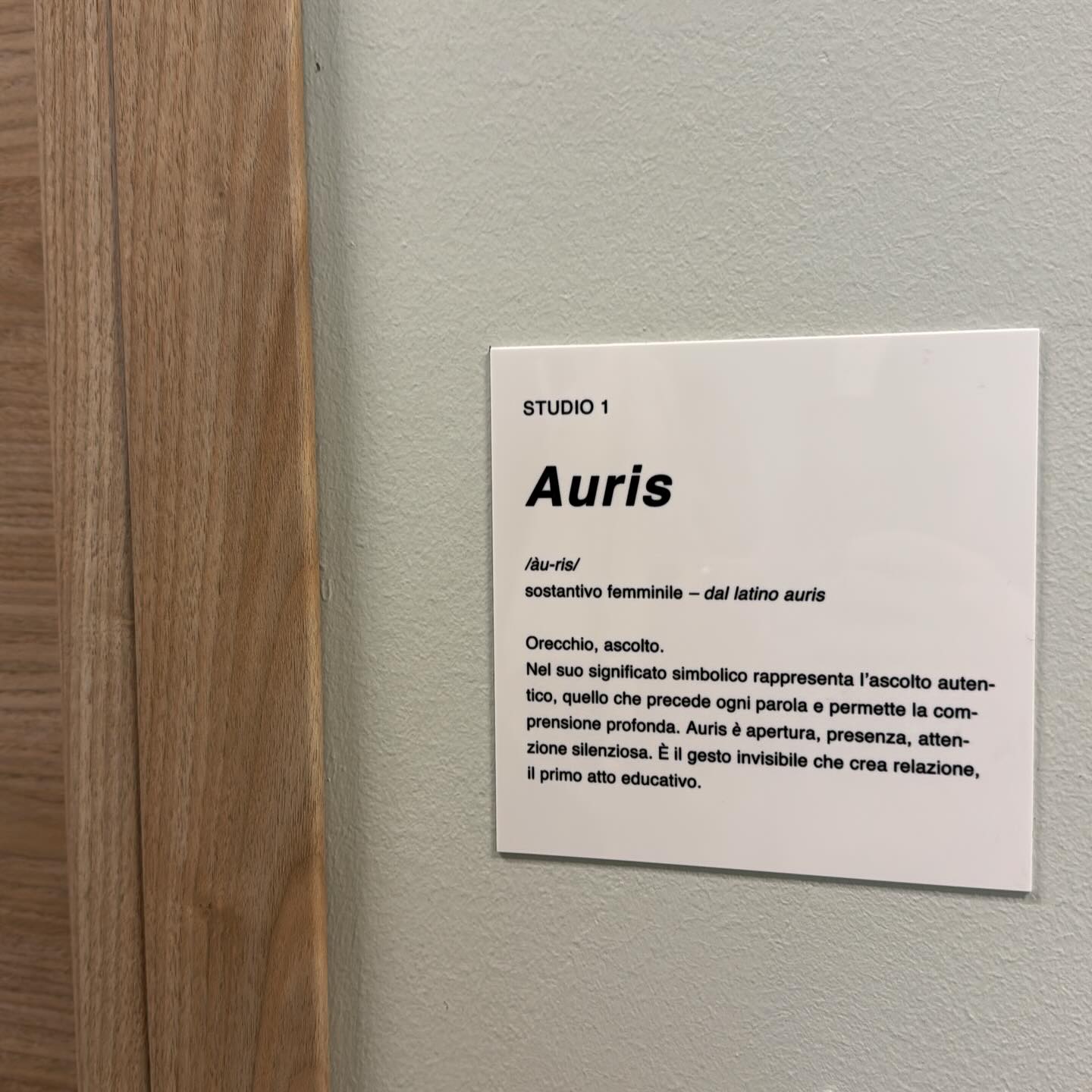 Auris è apertura, presenza e attenzione silenziosa. È il gesto invisibile che crea relazione, il primo atto educativo.