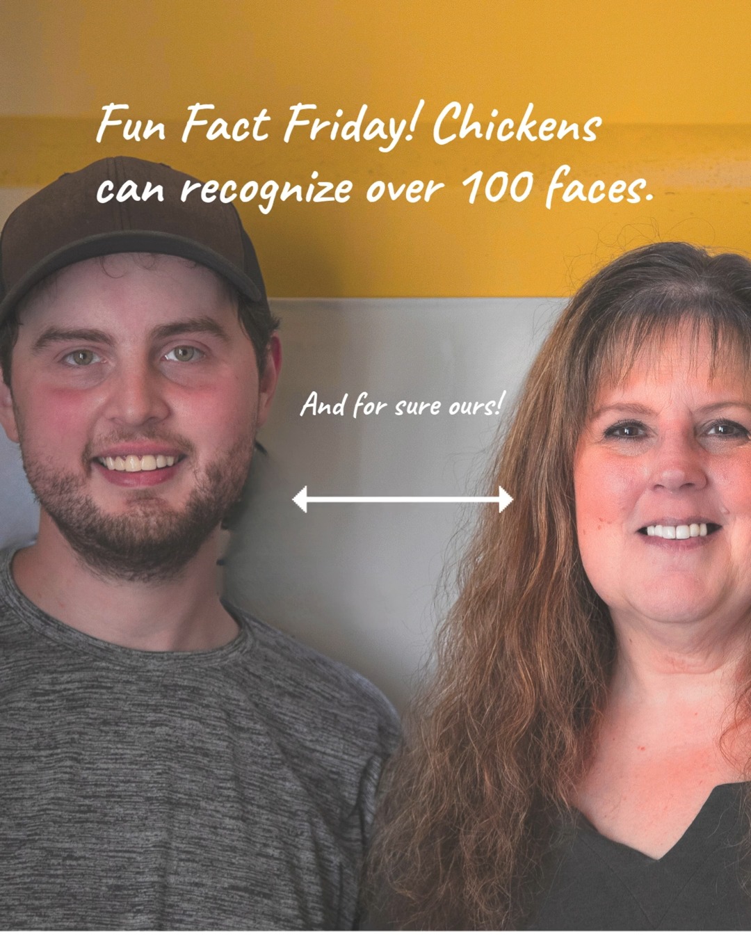 Our girls have im-peck-able memories—they can recognize over 100 faces!
They know the treat-bringers, they know who's late with the feed, and they definitely know YOU! They are tiny feathered personalities with opinions.
Come grab some fresh-from-the-nest goodness from the farm. Score your farm-fresh eggs today! Available: Daily 10 AM – 7 PM.
Email us at Chicks@FamilyHeritageAcres.com for egg pickup.
Or visit us online - www.FamilyHeritageAcres.com
#ImPeckableMemory #ChickenMeOut #BeakedYourInterest #EyeSeeYou #ComediHen #ChickenFacts #FarmLife #FamilyHeritageAcres #KelsoFamilies #LongviewLiving #FarmFreshEggs