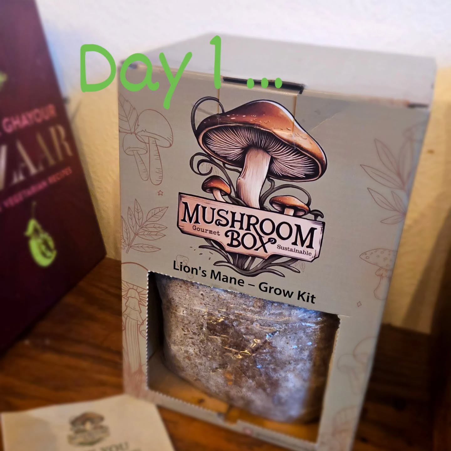 Ridiculously excited to collect this Lions Mane Mushroom growing kit from @growkitmushroom at @tauntonmarket yesterday, and really happy to be supporting a local Somerset based business.
Really easy to use kits, with absolutely everything you need to grow your own Lions Mane mushrooms at home along, with lots of clear instructions ... So Day 1, the kit is all prepped and fingers crossed, I'll be sharing lots of lovely Lions Mane recipes with you very soon!! 🩷
www.growkitmushroom.co.uk
#supportlocal #gifted #collaboration #mushrooms #somersetfoodies