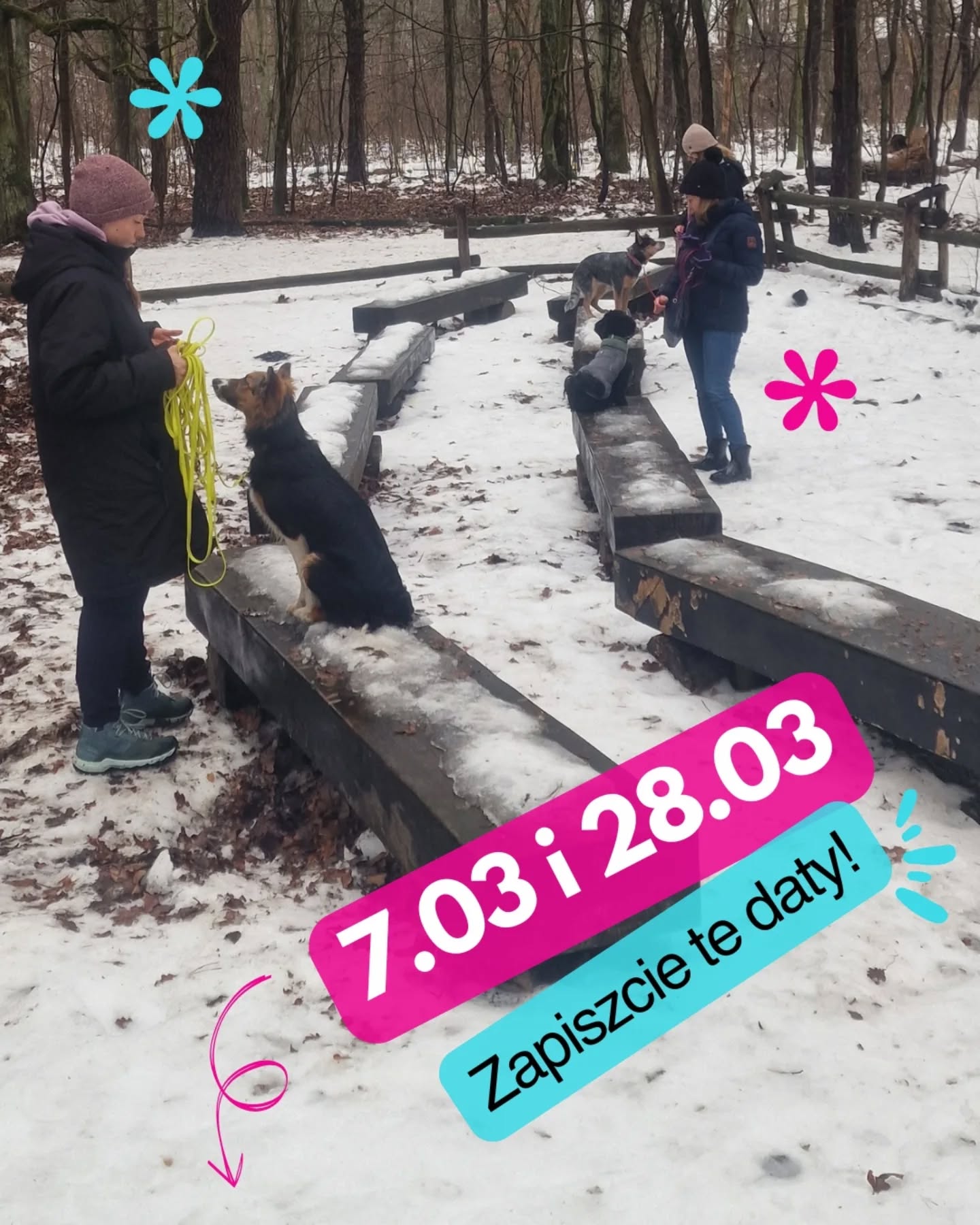 Zanim powiesz „mój pies się tylko przywita”, zatrzymaj się na chwilę. Bo dla wielu psów to „przywitanie” to nie jest frajda, tylko największy koszmar.
Jeśli Twój pies ma za sobą trudne przejścia, jest reaktywny albo po prostu świat go przytłacza, to wyjście na zwykły spacer bywa walką o przetrwanie.
Na spacerach socjalizacyjnych nie bawimy się w wymuszone interakcje. U nas „nicnierobienie” obok innych psów to ważna lekcja. Budowanie nowego, dobrego doświadczenia, że obecność innego psa nie musi oznaczać ataku, stresu ani żadnego „muszę coś zrobić”.
W marcu przygotowałyśmy z Marleną @kyon_zycie_z_psem dwa terminy, żebyście mogli popracować w bezpiecznych warunkach:
👉 7 marca (sobota), godz. 10:00 – Lasek Bemowski.
👉 28 marca (sobota), godz. 10:00 – Lasek Bemowski lub WAT. Miejsce dobierzemy do pogody i potrzeb grupy.
Pracujemy w małych grupach - max 6 psów. Startujemy, gdy zbierze się minimum trójka chętnych.
Jeśli masz dość stresowania się i chcesz, żeby spacer w końcu przestał być walką o przetrwanie dla Ciebie i psa to napisz do mnie na priv. Dogadamy się i sprawdzimy, czy te marcowe wyjścia są dla Was :)