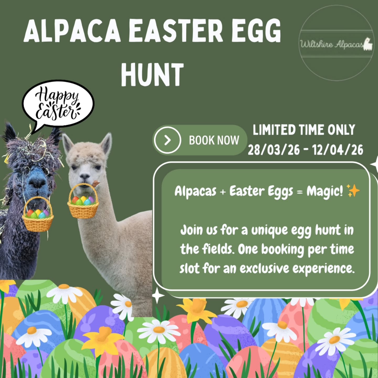Skip the crowds this Easter. 🍫🦙
Book a private Alpaca Easter Egg Hunt for just your family. Explore the fields, feed the alpacas, and find hidden eggs!
🗓️ Very limited availability!
Link in bio to secure your Easter hunt today!
#AlpacaEggHunt
#EasterFamilyFun
#wiltshirealpacas
#EasterActivity
#MeetTheAlpacas