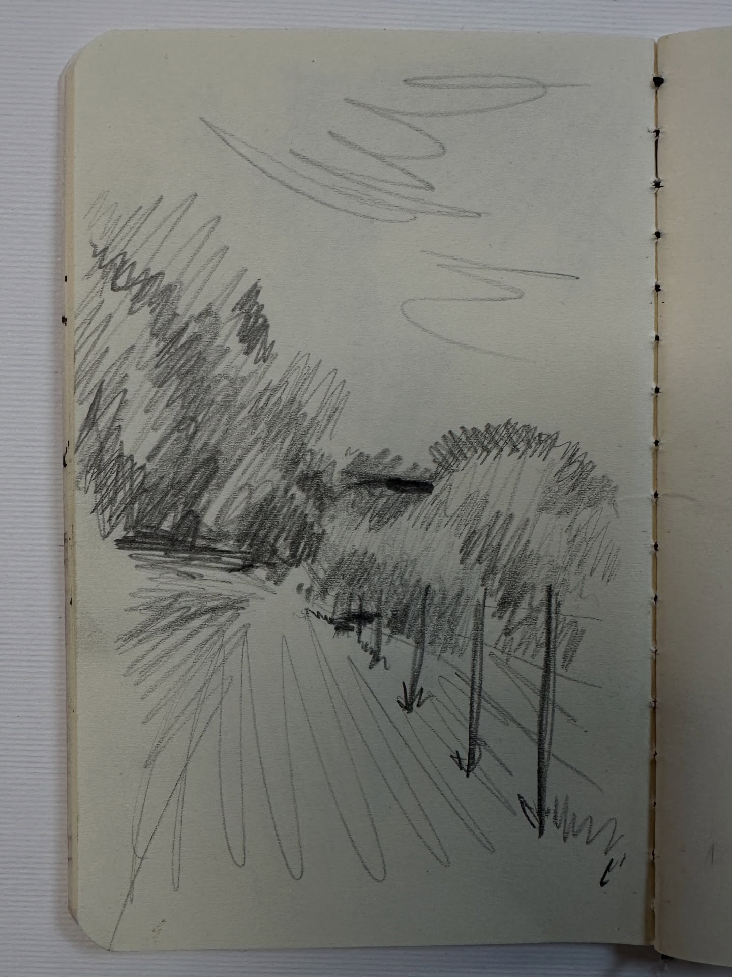 From sketch to painting, looking back to last spring when the trees were greener.
#art #painting #oilpainting #landscape