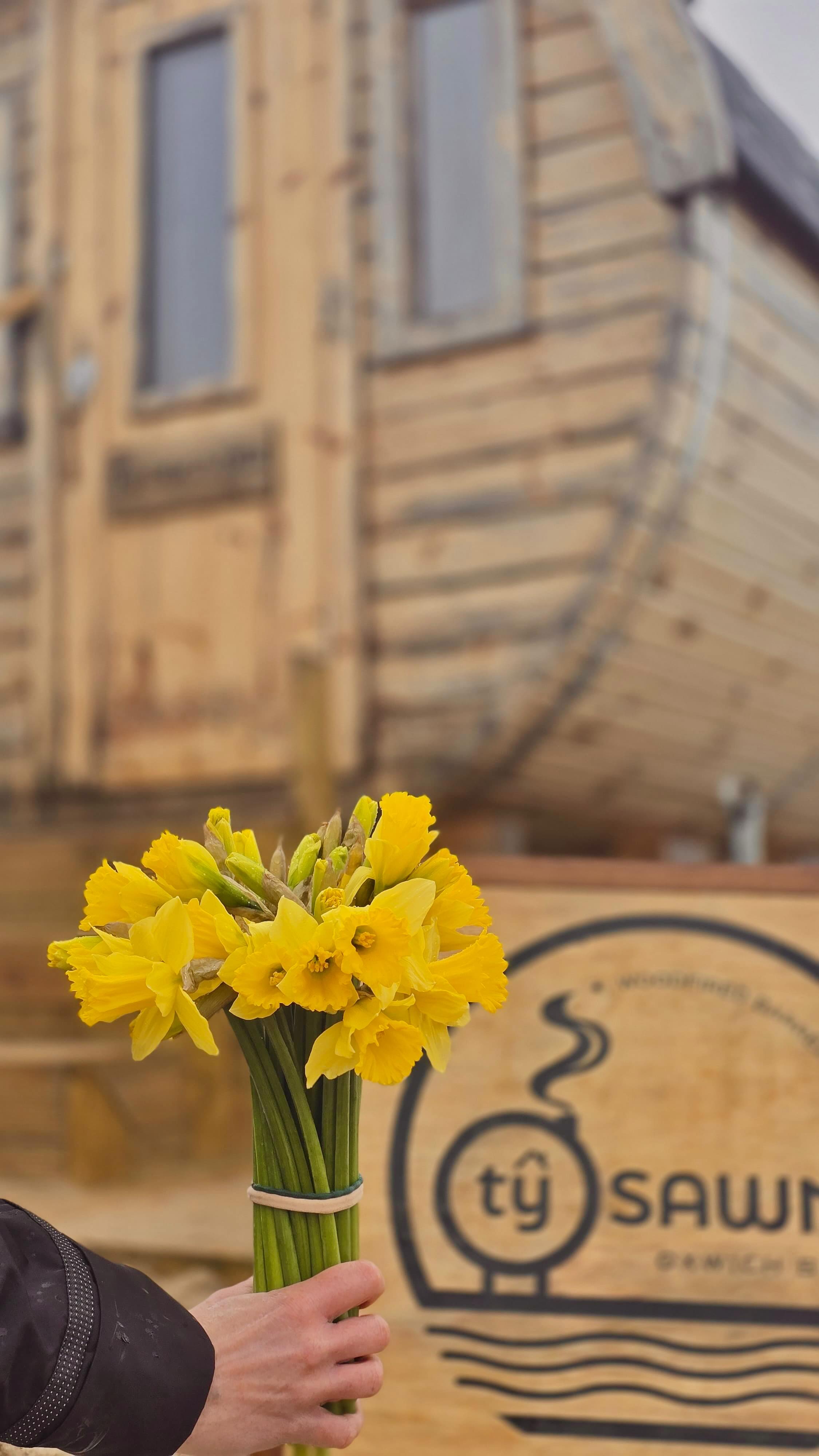 Dydd Gwyl Dewi Hapus! 🌼
Remember to do the little things💛
#stdavidsday #welshsauna #beachsauna