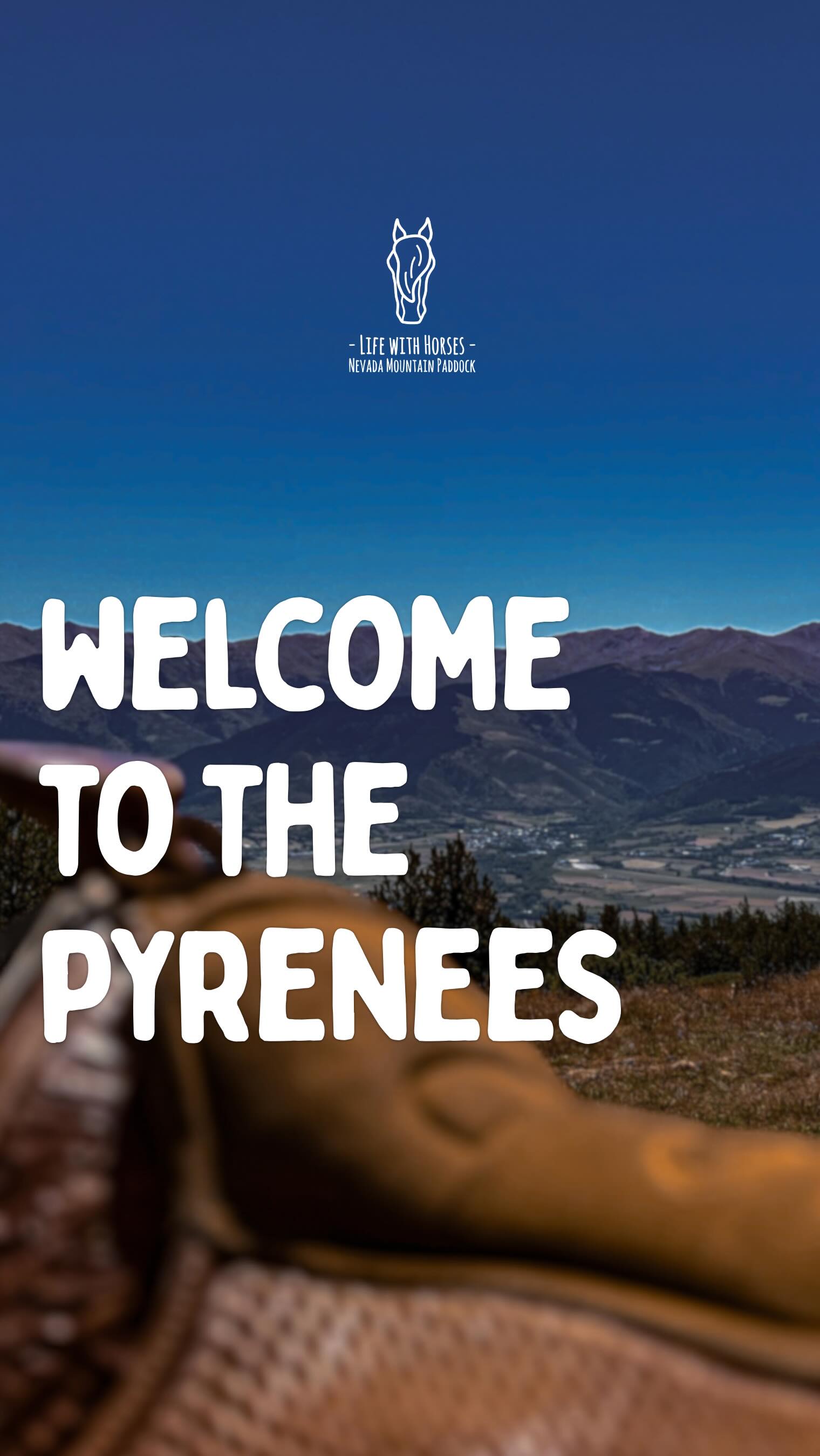 Tu pensais que c’était l’Amérique ?
Nope.
Bienvenue dans les Pyrénées.
Même esprit sauvage.
Même liberté.
Pas besoin d’avion.
Tag les personnes avec qui tu aimerais t’évader ici.
⸻
🇬🇧 Thought this was America?
Nope.
Welcome to the Pyrenees.
Same wild spirit.
Same freedom.
No plane ticket required.
Tag the people you’d love to get away here with.
⸻
🇦🇩 Pensaves que era Amèrica?
No.
Benvingut als Pirineus.
Mateixa espirit salvatge.
Mateixa llibertat.
Sense necessitat d’avió.
Etiqueta les persones amb qui t’agradaria fer una escapada aquí.
@pyrenees.cerdagne
@pyreneesorientales_tourisme
@pnrpyreneescatalanes
#pyrenees #wildwestvibes #horsetravel #hiddeneurope #ridewithconnection