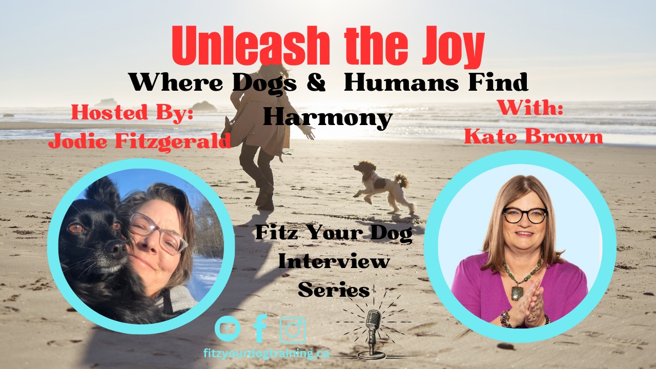 𝐊𝐚𝐭𝐞 𝐁𝐫𝐨𝐰𝐧'𝐬 𝐒𝐞𝐜𝐫𝐞𝐭 𝐭𝐨 𝐔𝐍𝐋𝐎𝐂𝐊𝐈𝐍𝐆 𝐉𝐨𝐲𝐟𝐮𝐥 𝐋𝐢𝐯𝐢𝐧𝐠
Have a listen to this great conversation with Kate Brown!
K𝐚𝐭𝐞 𝐢𝐬 𝐚 𝐂𝐨𝐚𝐜𝐡, 𝐒𝐩𝐢𝐫𝐢𝐭𝐮𝐚𝐥 𝐆𝐮𝐢𝐝𝐞 𝐚𝐧𝐝 𝐚𝐧 𝐀𝐫𝐨𝐦𝐚 𝐓𝐡𝐞𝐫𝐚𝐩𝐢𝐬𝐭 𝐰𝐡𝐨 𝐬𝐩𝐞𝐜𝐢𝐚𝐥𝐢𝐳𝐞𝐬 𝐢𝐧 𝐇𝐞𝐚𝐥𝐢𝐧𝐠 𝐄𝐬𝐬𝐞𝐧𝐭𝐢𝐚𝐥𝐬 for people and animals who are seeking a path to better health, reduced stress, and a balanced state of being.
It is so important for our animals to be taken care of in the best ways possible and we need to consider the emotional experience and relationships with our animals. Releasing trauma and life stress from animals can have huge health benefits. When dogs are living life in a fearful or reactive state, Healing Essentials, with Kate Brown, offers the ability to release the trauma and life stress from animals.-
YouTube https://youtu.be/kHCmgtZaV0U