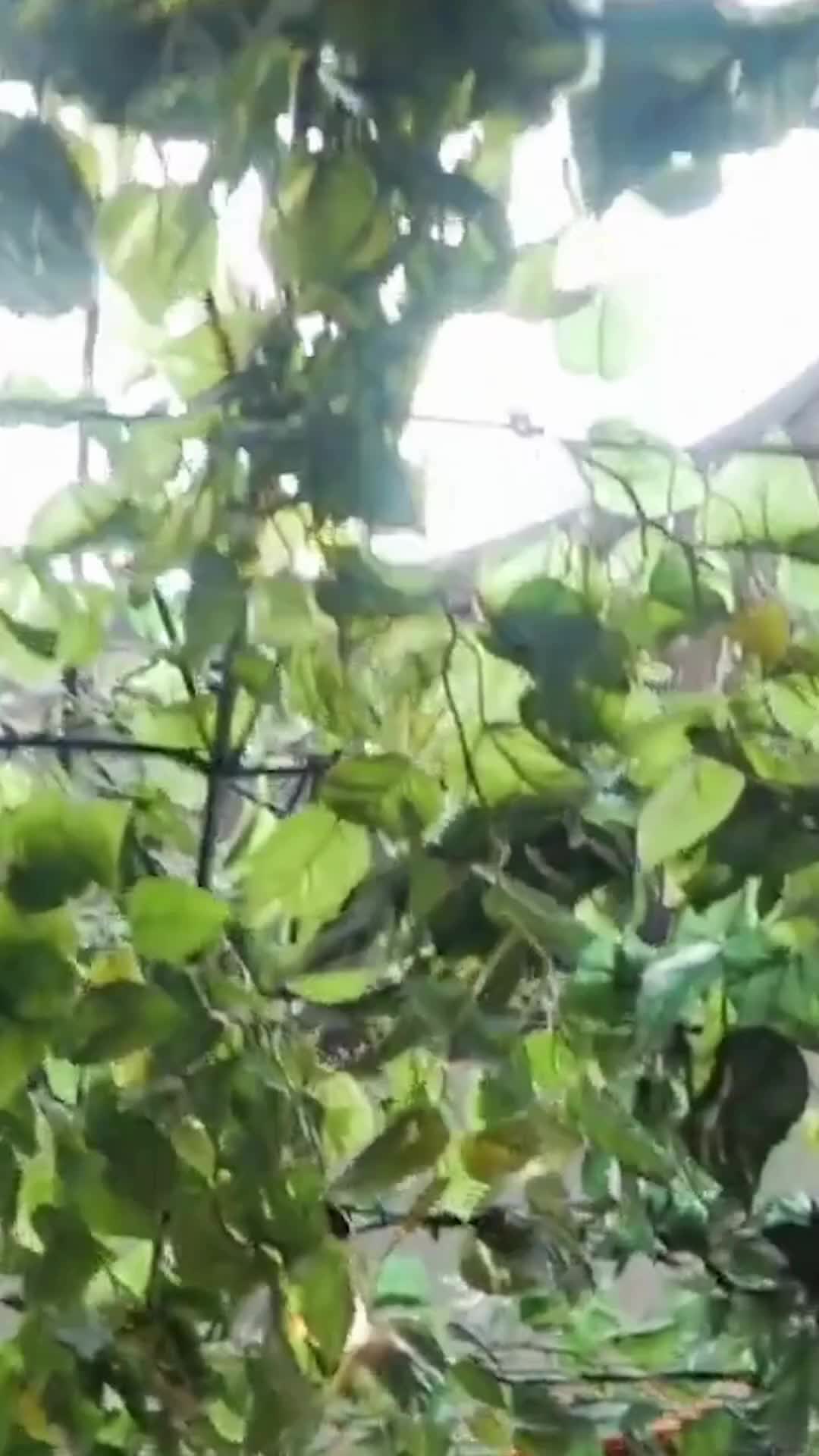 As the lights dim. The music begins. ✨🎷
There’s a certain magic that happens at Urban Umami when the sun goes down. Join us every Friday and Saturday evening from 18:30 for live music that sets the ultimate mood for your weekend.
Come for the art on the plate, stay for the soul in the air. 🥢🍷
Book your weekend table now.
#UrbanUmami #LiveMusic #WeekendVibes #CapeTownDining #SushiAndSoul