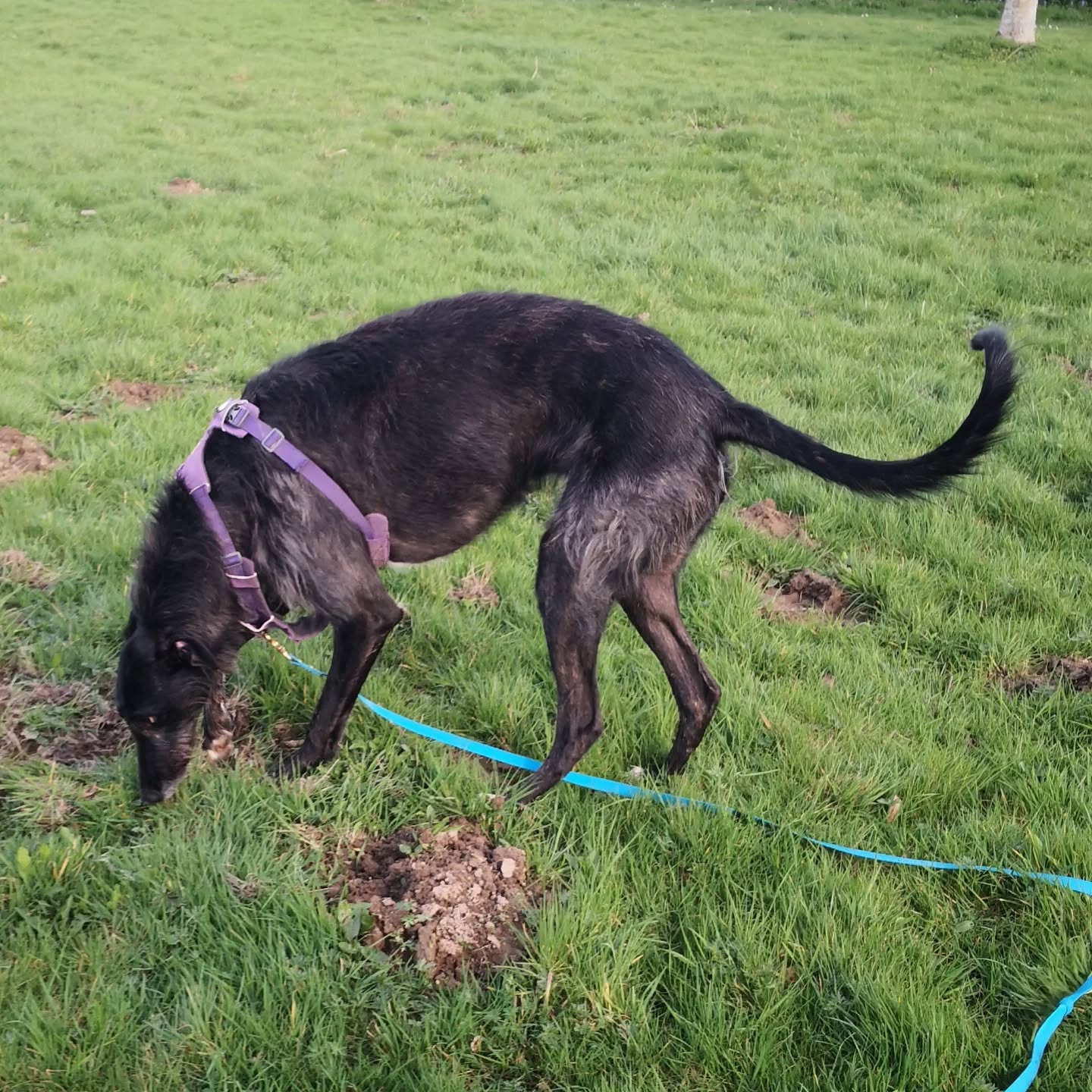 Atreyu en séance de socia.