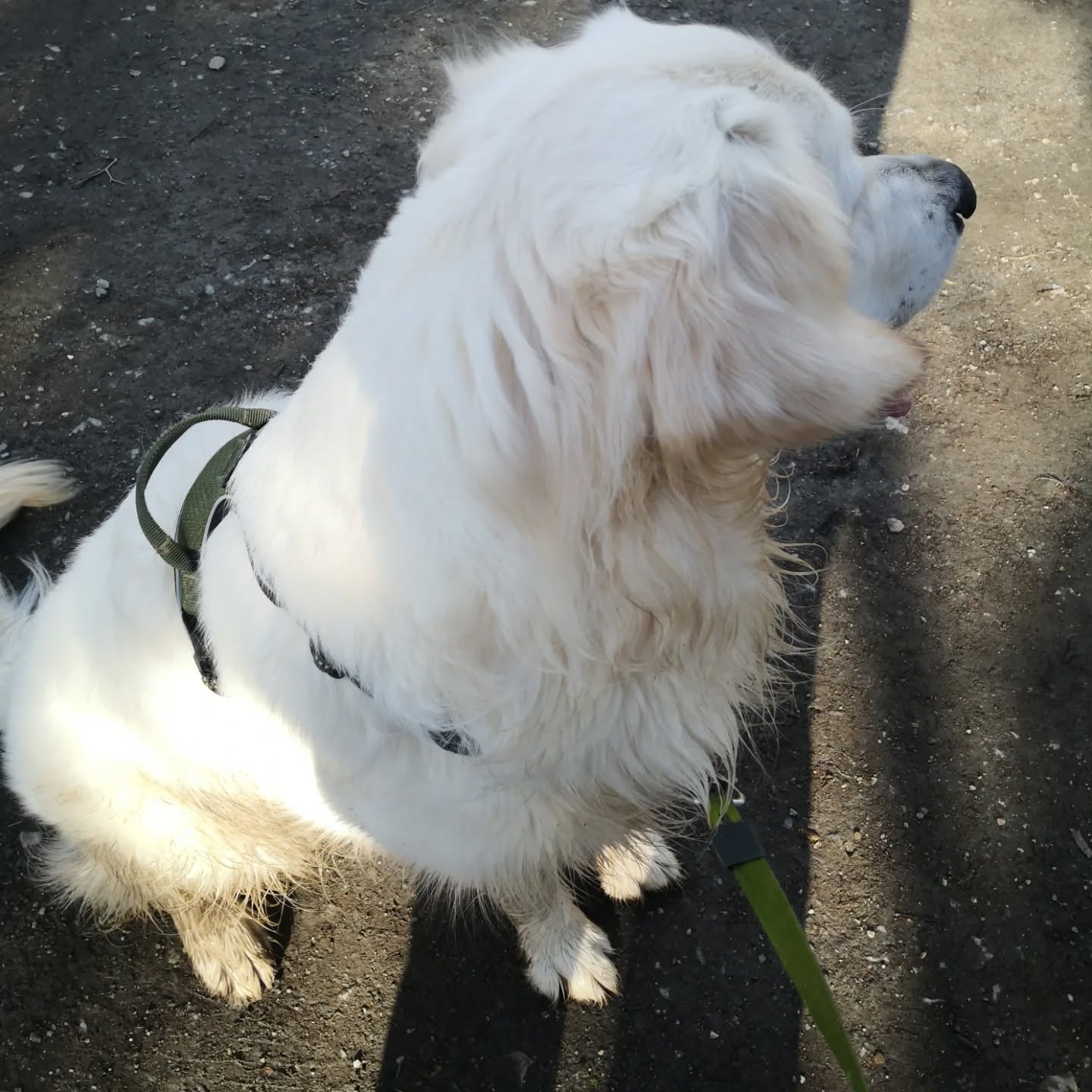 Aïka en session communication et présentations, difficile à photographier tellement elle est contente.