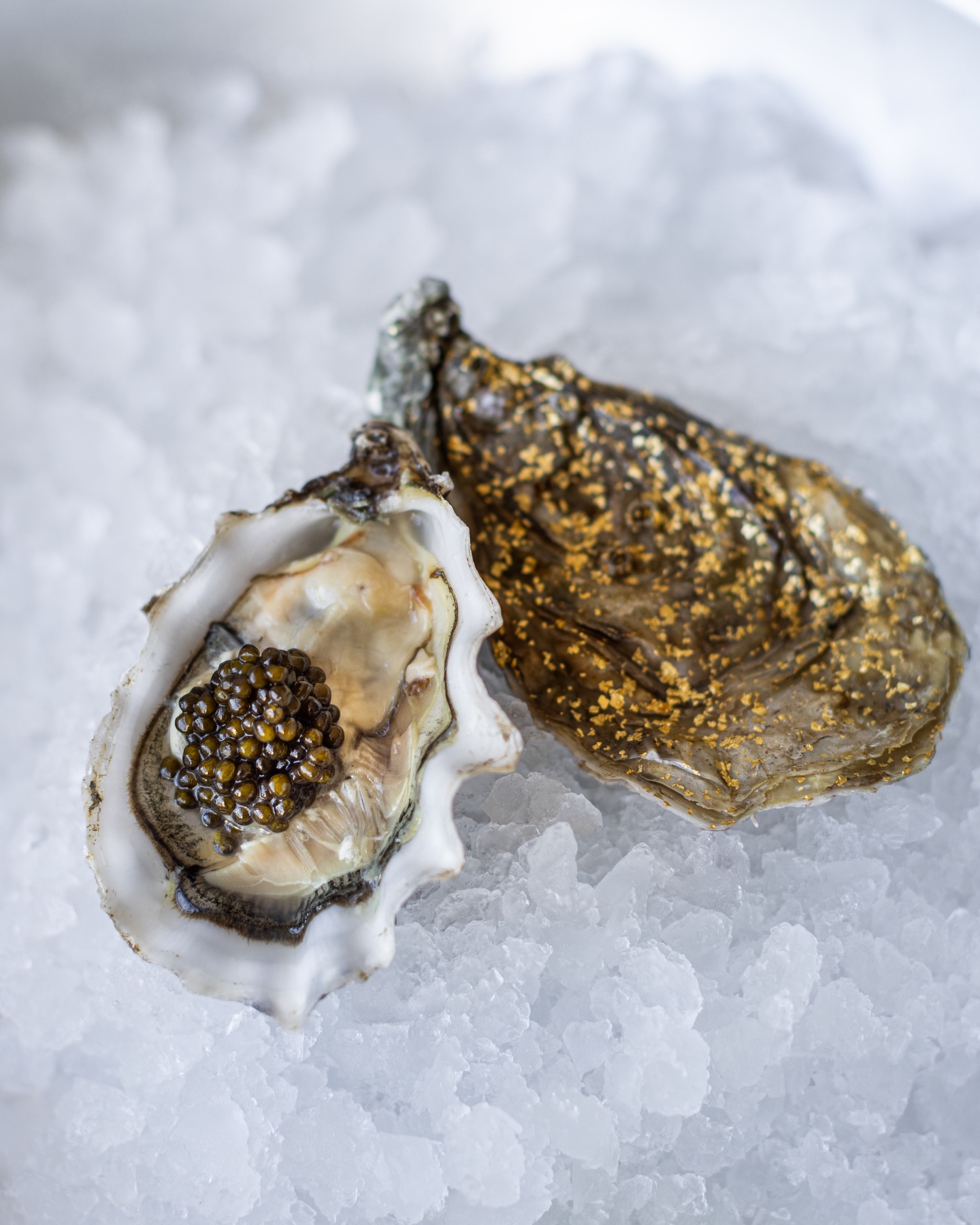 Golden Oysters — Women’s Day Weekend
Ostra Regal Gold will be available throughout the weekend.
A premier European selection — defined by depth, precision and exceptional flavour.
This weekend fills quickly.
We recommend reserving your table in advance.
Helsinki Market Square.
#ostraregal #ostraregalgold #finlandiacaviar