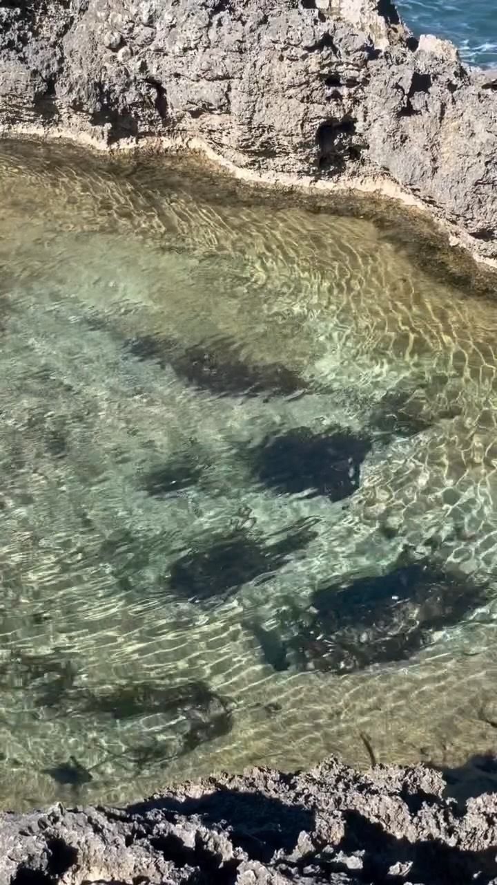 ~ Happy Balearic Day and hola March… 🩵 Today we celebrate the island that inspires everything we do.
Golden sunrises over the hills, quiet beaches before the world wakes up and those endless Ibiza sunsets that paint the sky in soft pink and deep orange.
March feels like a gentle new beginning. More light in the mornings, longer evenings outside, more time together under the Balearic sky.
This is the season of barefoot sunrise walks, sunset picnics, and making memories that stay long after the holiday ends.
.
.
.
.
.
#HolaIbizaKids
#IbizaWithKids
#BalearicLife
#IbizaSunrise
#IbizaSunset