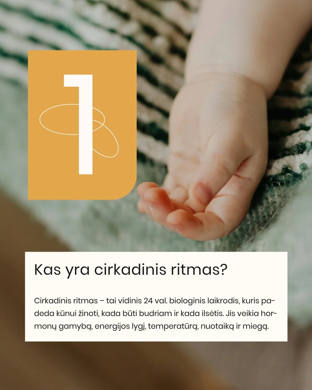 CIRKADINIS RITMAS. 🌙 Ar žinojote, kad vaiko miego ritmas nėra tik „gero įpročio“ reikalas? Tai biologinis procesas, kurį valdo cirkadiniai ritmai.
Cirkadinis ritmas – tai vidinis kiekvieno mūsų laikrodis, kuris organizme reguliuoja miego–budrumo ciklą, hormonų gamybą ir energijos lygį per ~24 valandas. Jis padeda kūnui natūraliai suprasti, kada jam laikas ilsėtis, o kada būti aktyviam.
🕰Vaikams šis ritmas formuojasi nuo pirmųjų mėnesių, o iki ~5 metų jis tampa vis stabilesnis ir panašesnis į mūsų, suaugusiųjų.
Tamsa skatina melatonino gamybą – hormono, kuris padeda užmigti. Šviesa, ypač mėlynos spalvos, atvirkščiai – signalizuoja organizmui, kad dar ne laikas miegoti.
👉 Nereguliarus grafikas ar netvarkinga diena gali „išmušti” šį ritmą ir apsunkinti užmigimą ar nakties poilsį.
ČIA į pagalbą ateina Purflo miego treniruoklis laikrodukas:
🔴 raudona šviesa – laikas ramiai lėtėti ir ruoštis miegui
🔵 mėlyna šviesa – rytas atėjo ir galime keltis
Tokiu būdu jūsų mažylis ima suprasti savo biologinį laikrodį per regimą ir lengviau nei žodžiai suprantamą ženklą – ir tai padeda kasdien palaikyti sveiką ritmą. ✨
🛒2025 m. „First time moms UK” apdovanojimų nugalėtoją „Snoozee“ laikroduką atraskite www.mylu.lt (ar per nuorodą bio).
Kovą jam -10% nuolaida!
#purflo #miegolaikrodis #mylushop #vaikumiegas #miegorutina miego superherojus tėvystė mamų gyvenimas purflo laikrodis snoozee