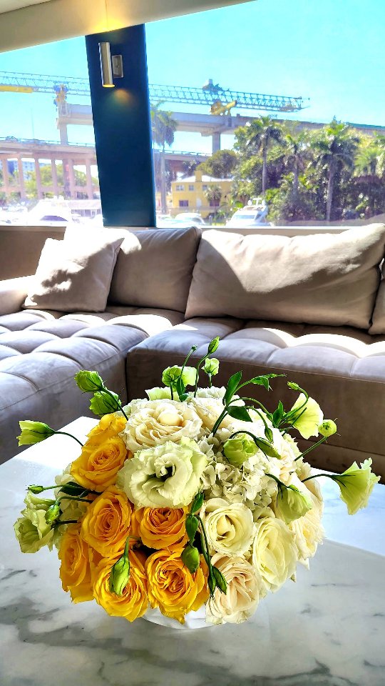 ⨠She had NO idea about this 50th birthday surpriseâŚ
Elegant white and yellow flowers đ¤đ
Luxury details in every corner
A milestone birthday deserves a timeless design.
Turning 50 never looked so stylish â¨
Planning a surprise party in South Florida?
Letâs create something beautiful together.
đ South Florida
đ 954-990-4519
#MiamiBirthdayDecor
#MiamiBalloonDecor
#MiamiEventStylist
#BalloonAndFlowerDecor
#SouthFloridaParties